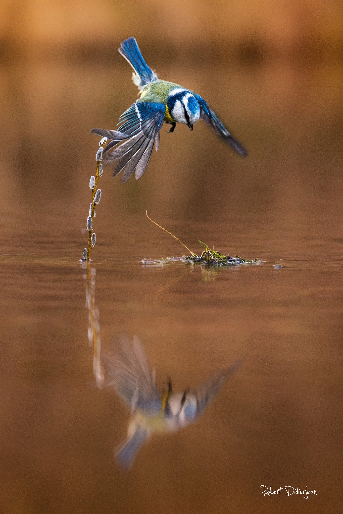 Nikon D810 sample photo. When the time's stopping photography