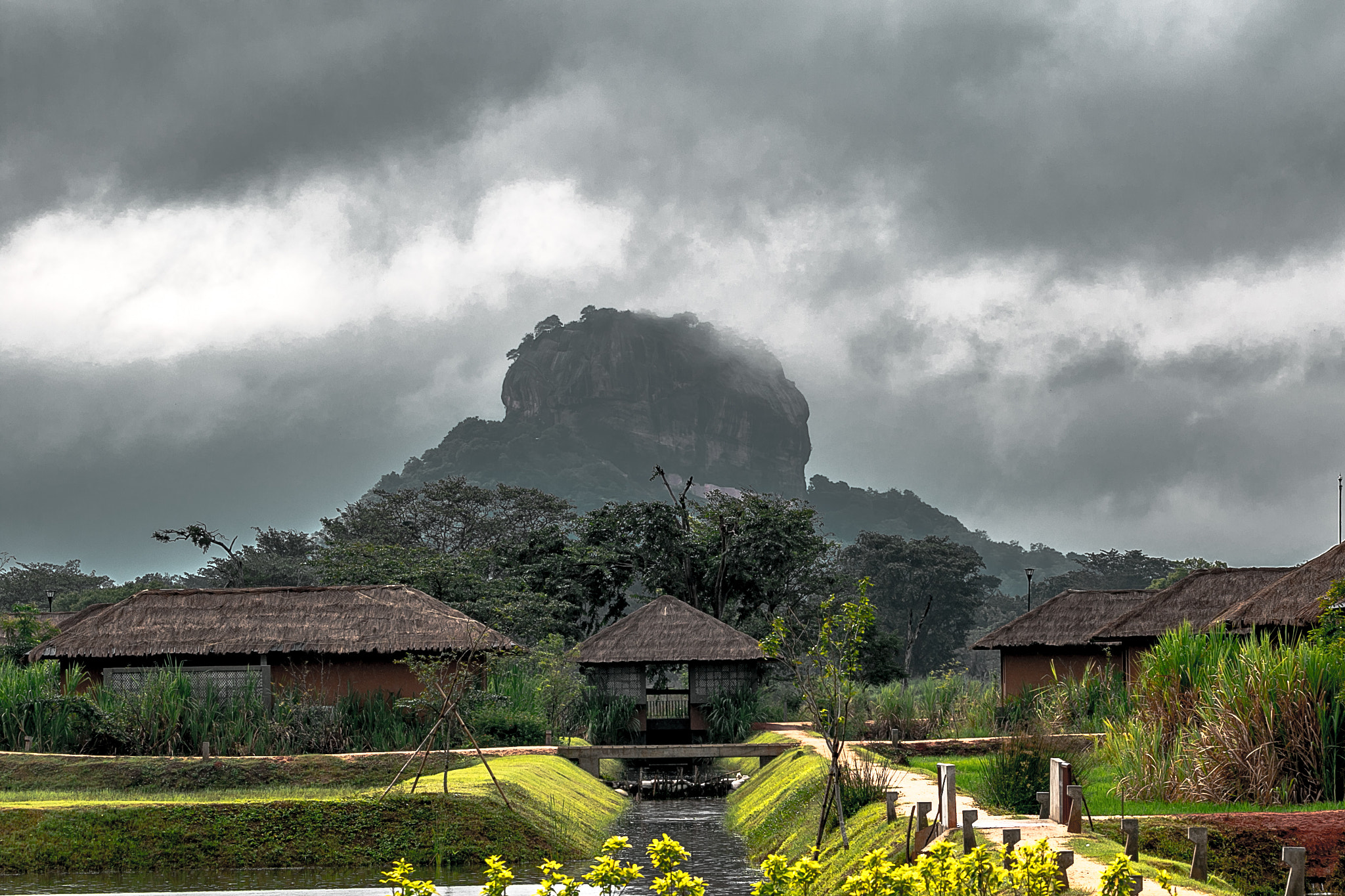 150-600mm F5-6.3 DG OS HSM | Contemporary 015 sample photo. Sigiriya photography