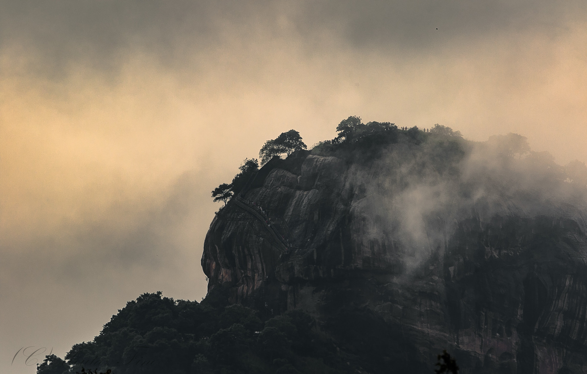 150-600mm F5-6.3 DG OS HSM | Contemporary 015 sample photo. The story of sigiriya photography