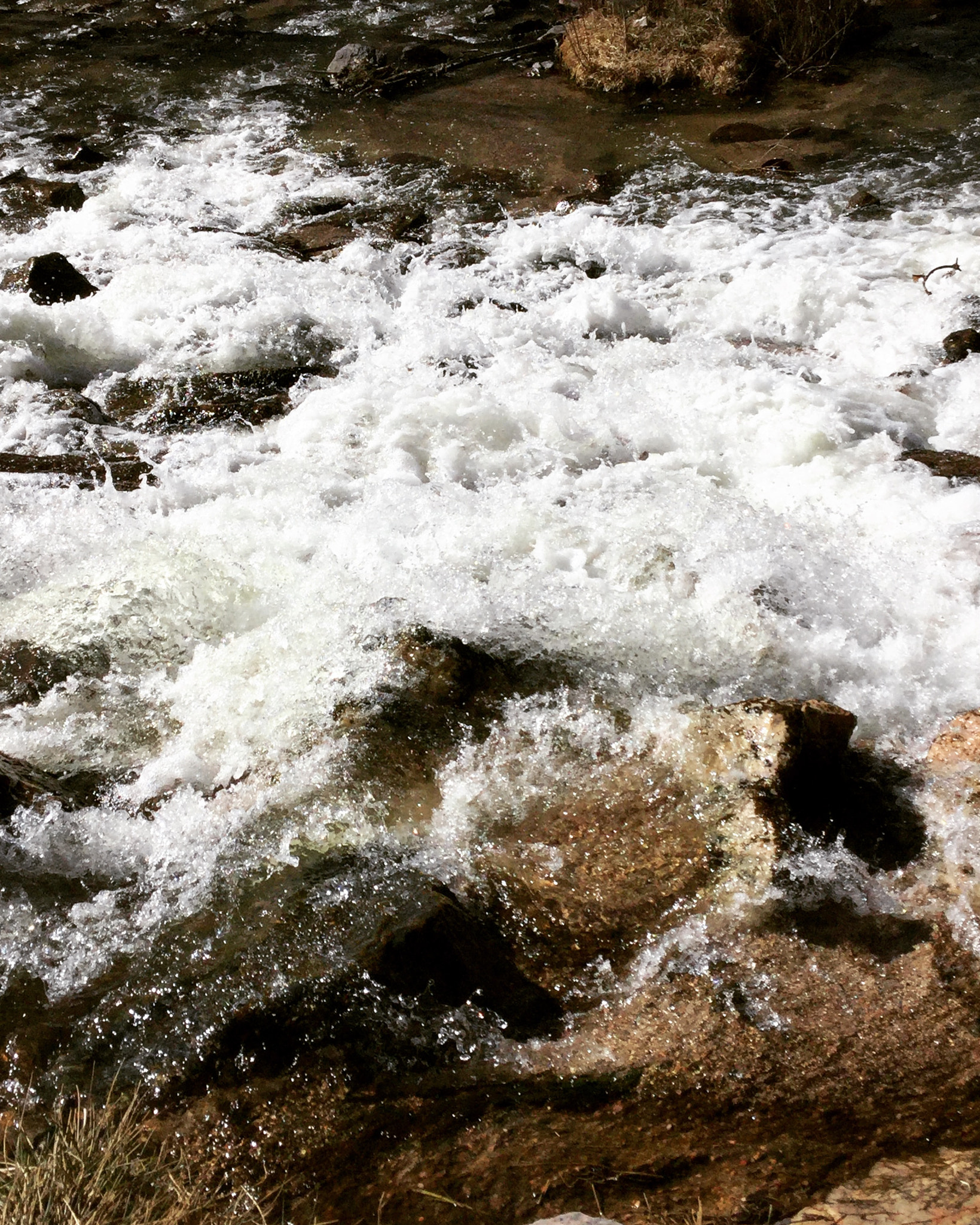 Apple iPad5,3 sample photo. Cherry creek, colorado. photography