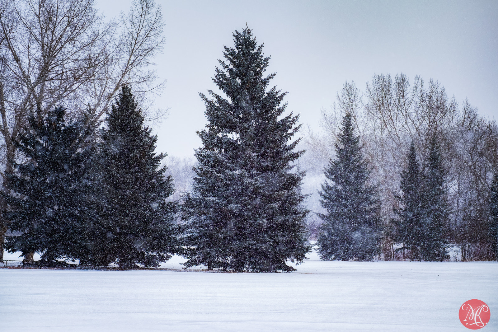 Fujifilm X-E2 + Fujifilm XF 55-200mm F3.5-4.8 R LM OIS sample photo. Winter returns 3 photography