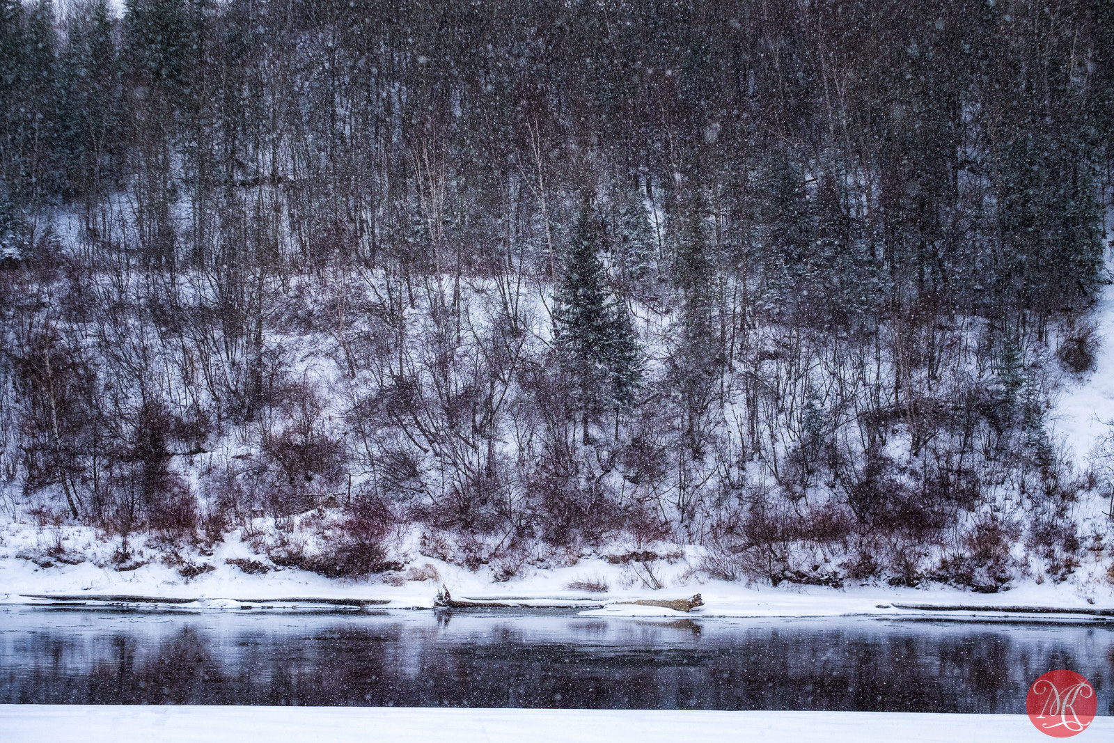 Fujifilm X-E2 + Fujifilm XF 55-200mm F3.5-4.8 R LM OIS sample photo. Winter returns 4 photography