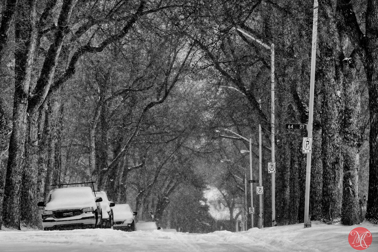 Fujifilm X-E2 + Fujifilm XF 55-200mm F3.5-4.8 R LM OIS sample photo. Winter returns 5 photography