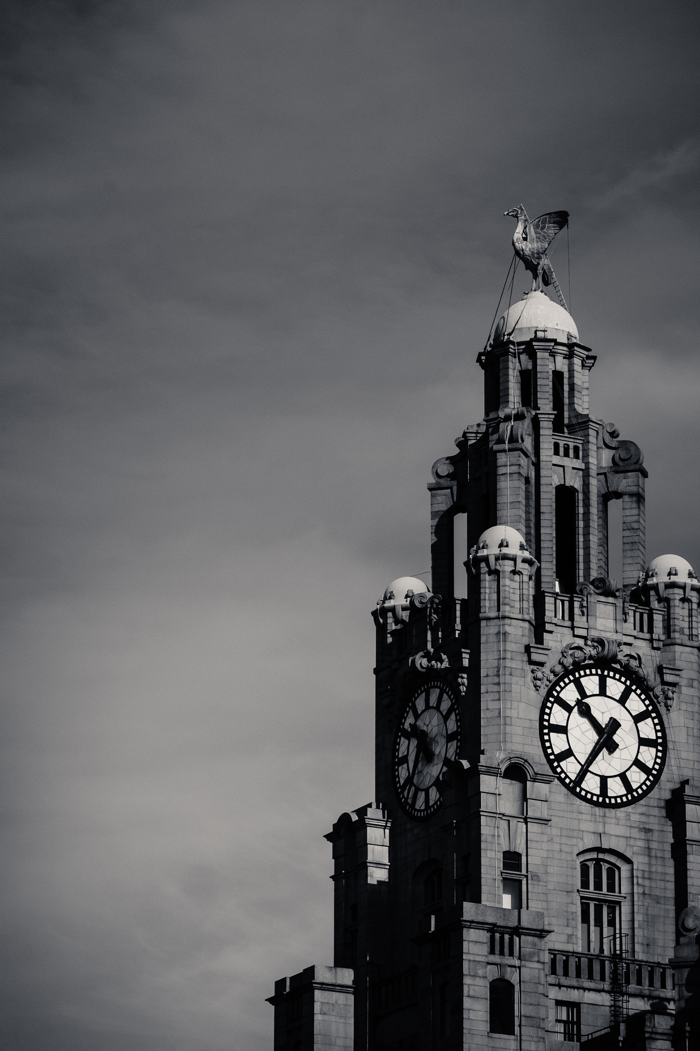 Canon EF 24-105mm F3.5-5.6 IS STM sample photo. Watchful liverbird photography