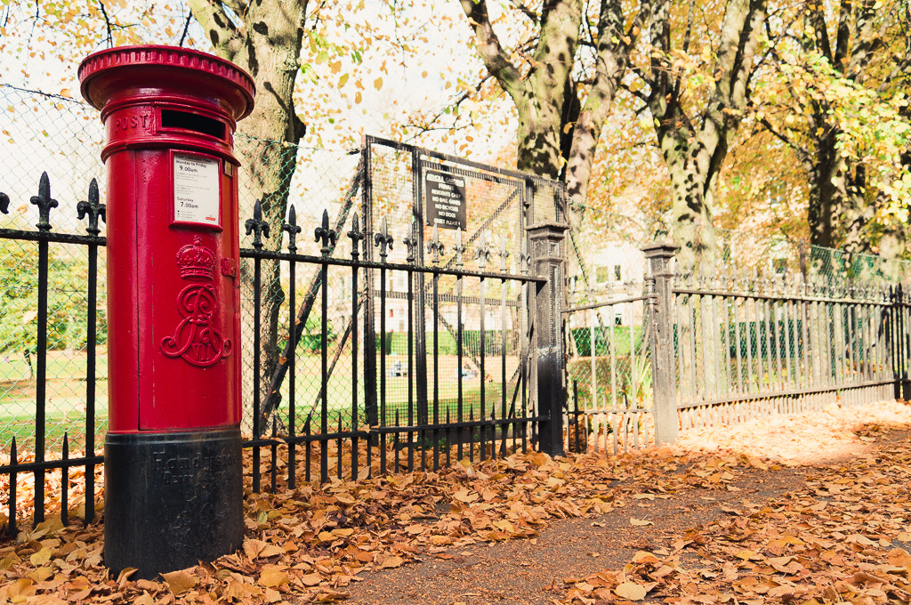 Sony SLT-A57 sample photo. Autumn in glasgow photography