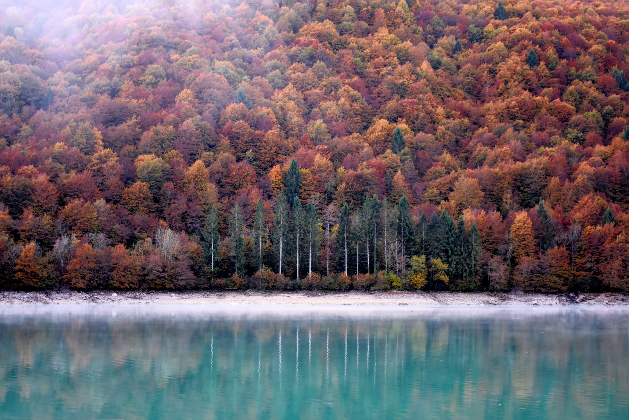 Nikon D7200 sample photo. Reflecting on autumn photography