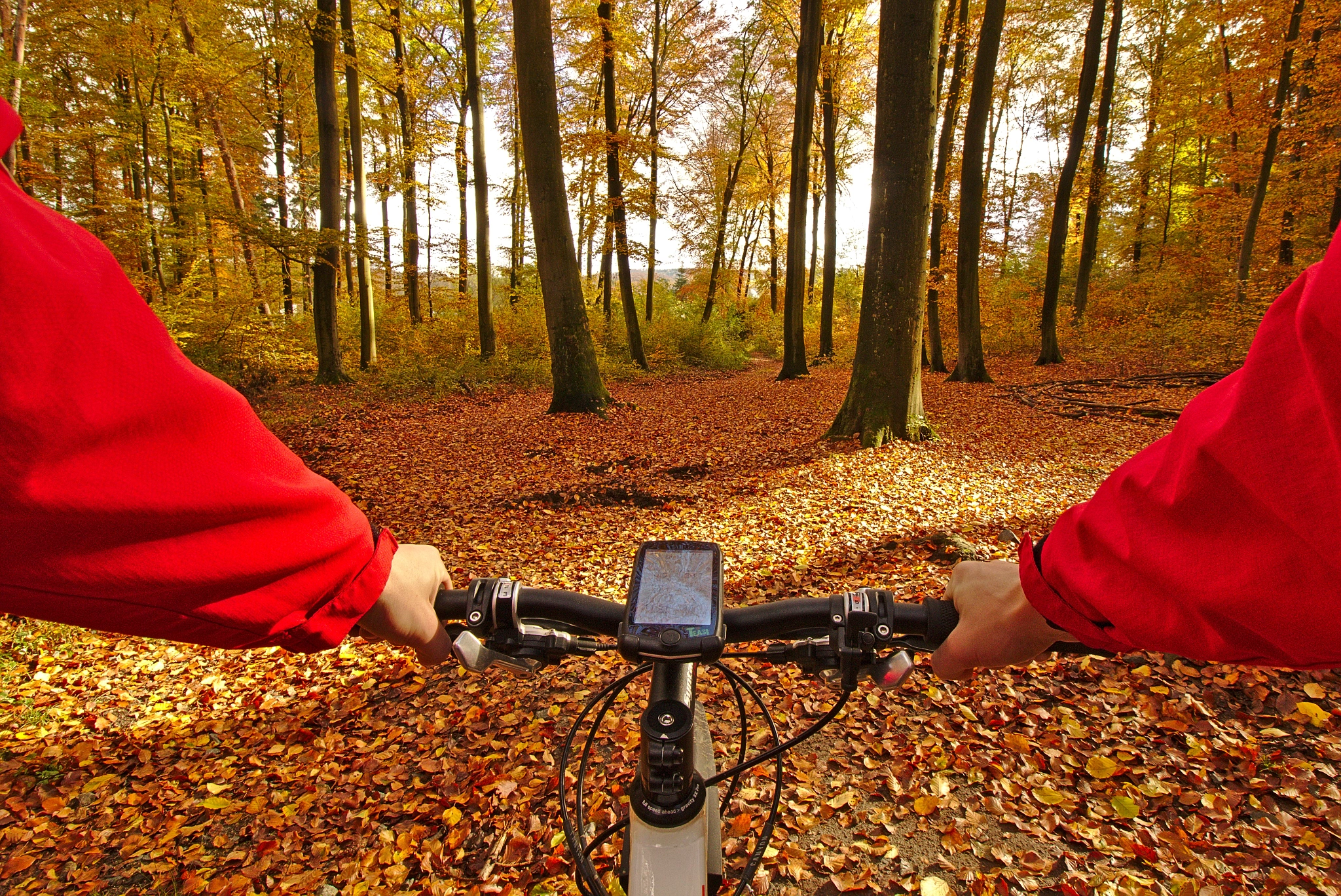 Canon EOS 750D (EOS Rebel T6i / EOS Kiss X8i) sample photo. Mountainbiking in autumn photography