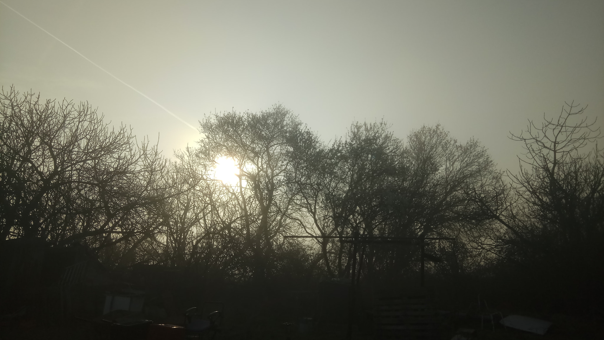 Xiaomi Redmi Pro sample photo. Foggy spring upon us photography