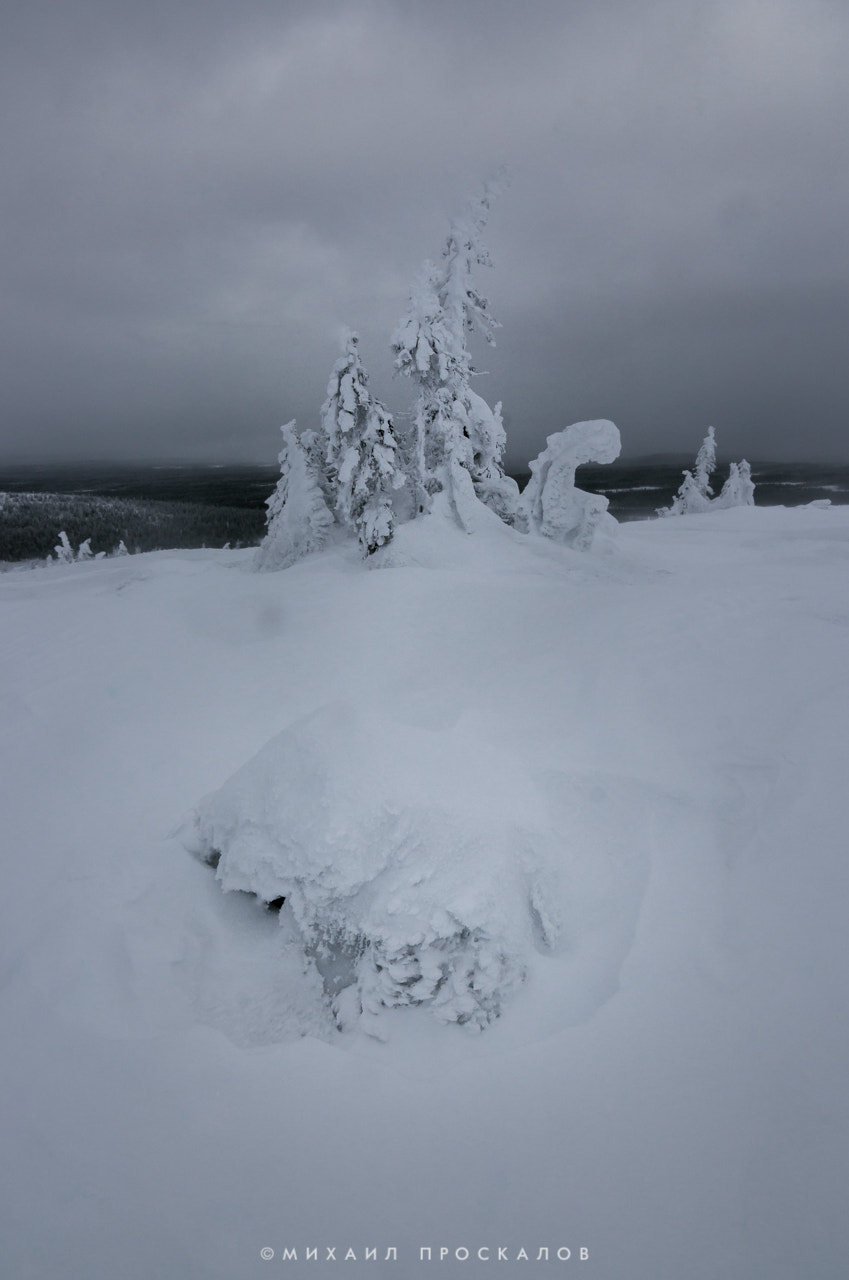 Canon EOS 700D (EOS Rebel T5i / EOS Kiss X7i) + Tokina AT-X Pro 11-16mm F2.8 DX sample photo. Snow trees photography