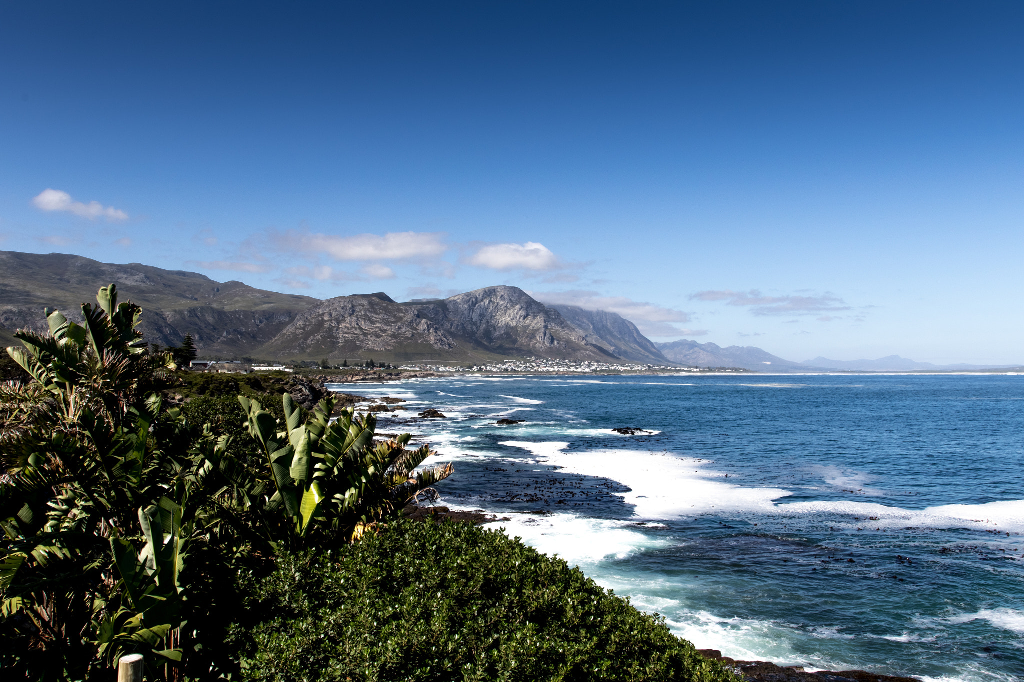 Canon EF 17-40mm F4L USM sample photo. Hermanus south africa photography