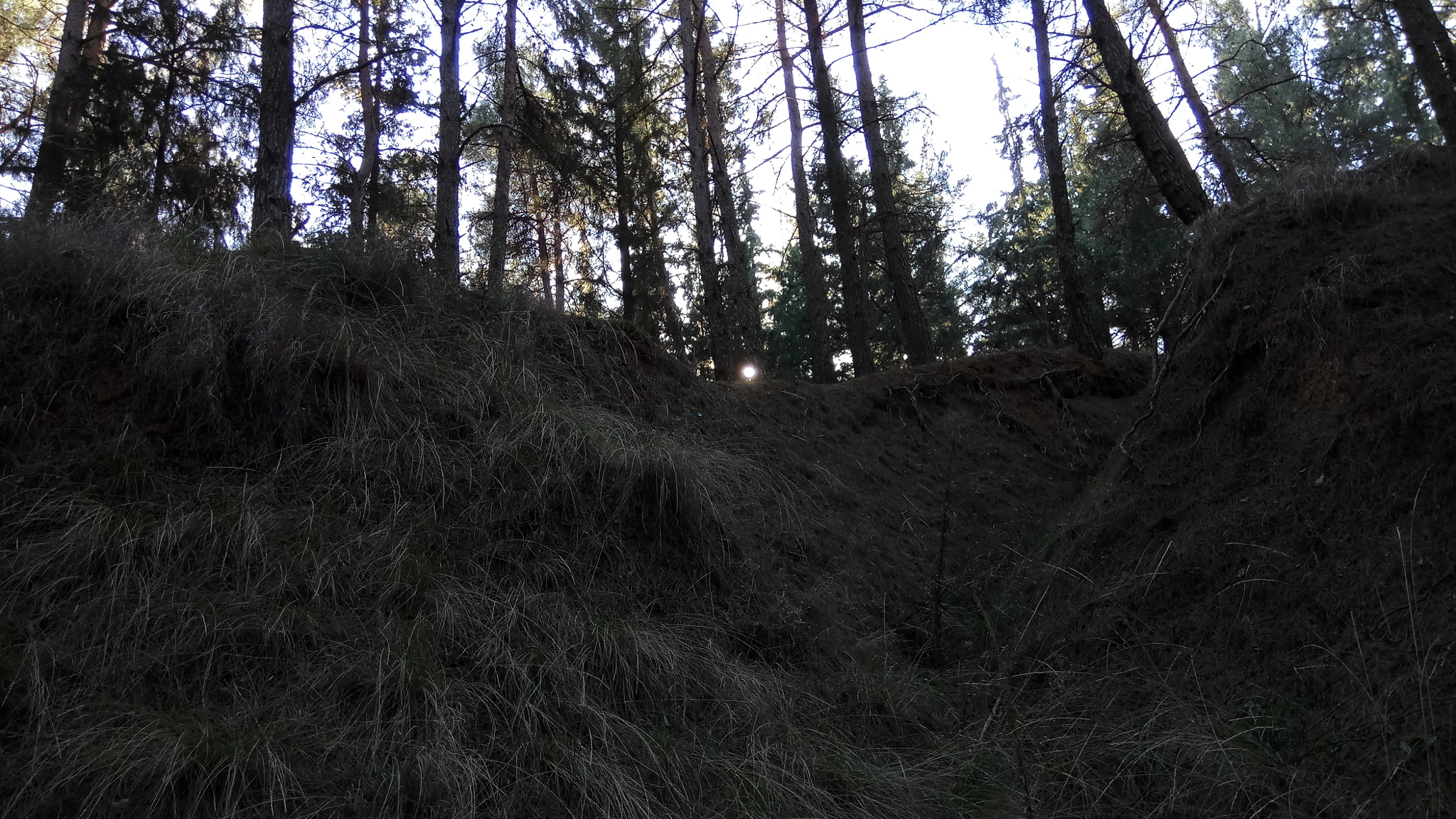 Xiaomi Redmi Pro sample photo. Forest escape 2 photography