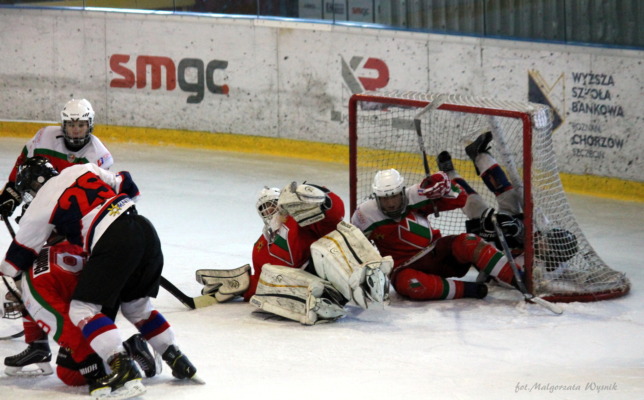 Canon EF-S 55-250mm F4-5.6 IS sample photo. Like puck ;) photography