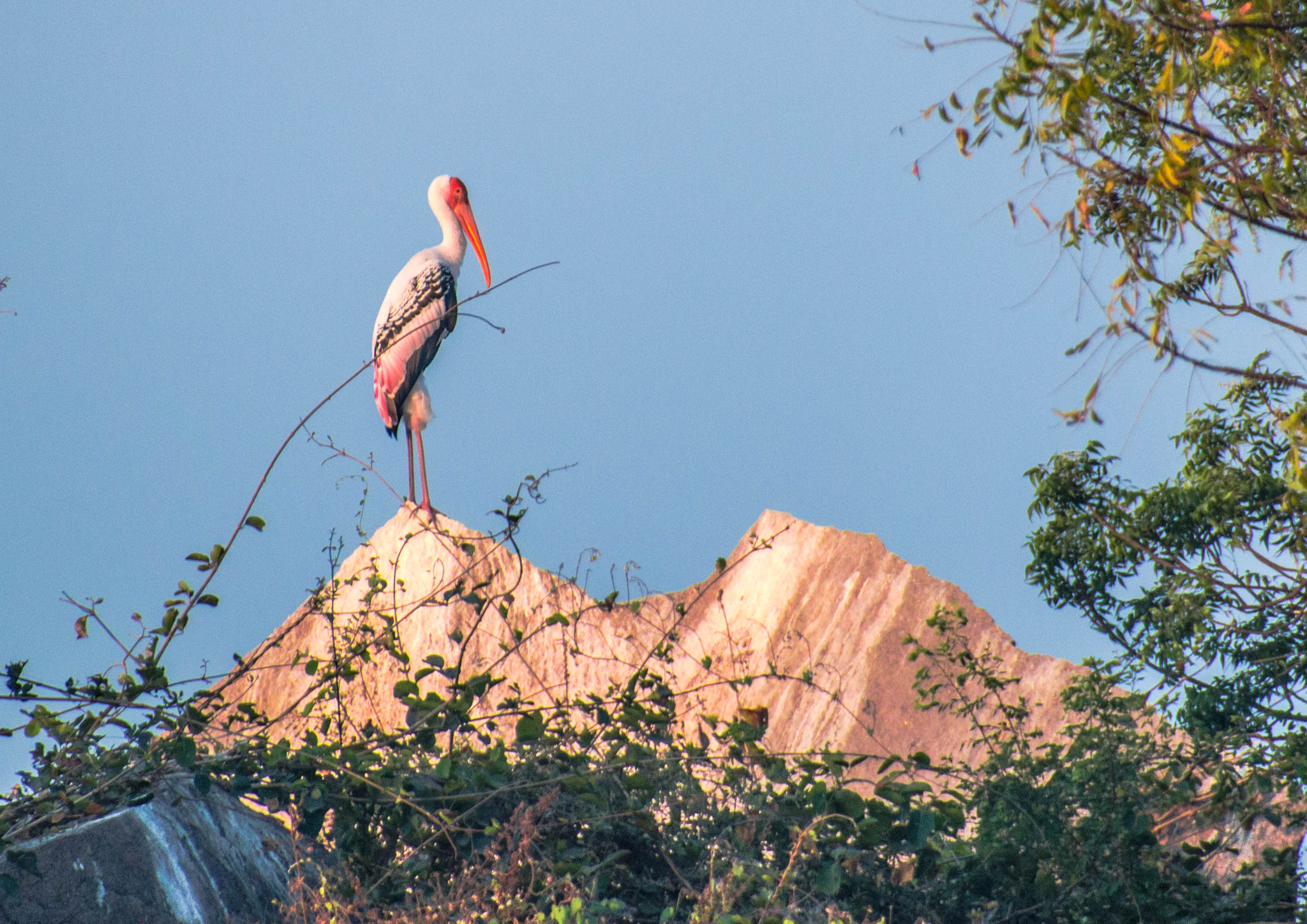 Nikon D3200 sample photo. Aminpur lake migratory bird photography