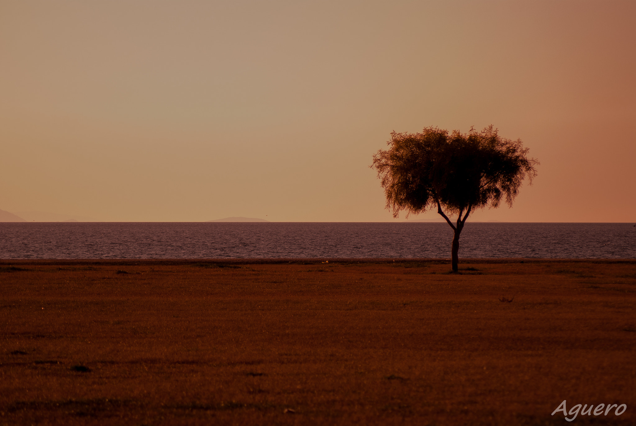 Nikon D40X sample photo. Artree photography