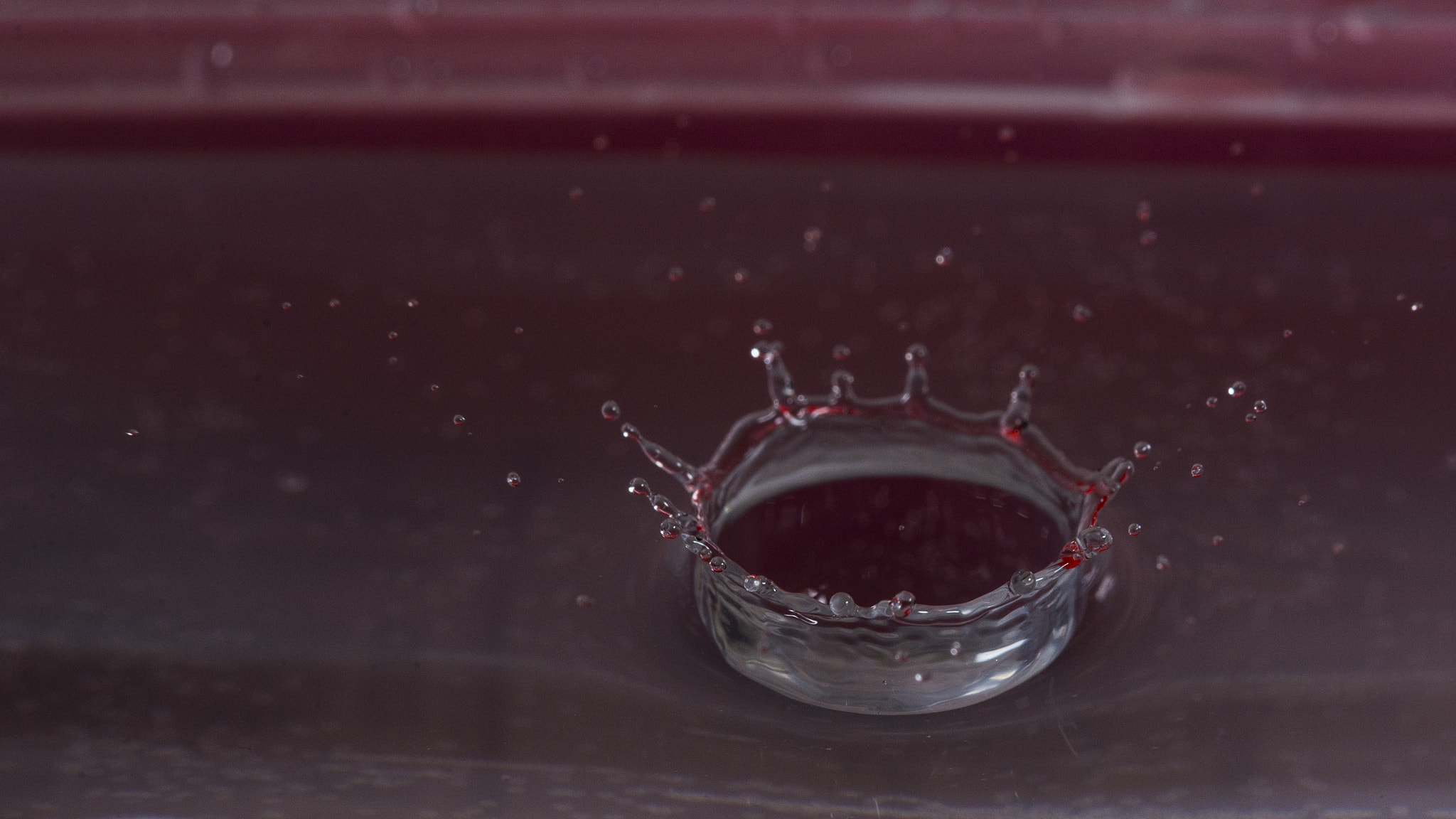 Sigma 105mm F2.8 EX DG OS HSM sample photo. Water drop 1 photography