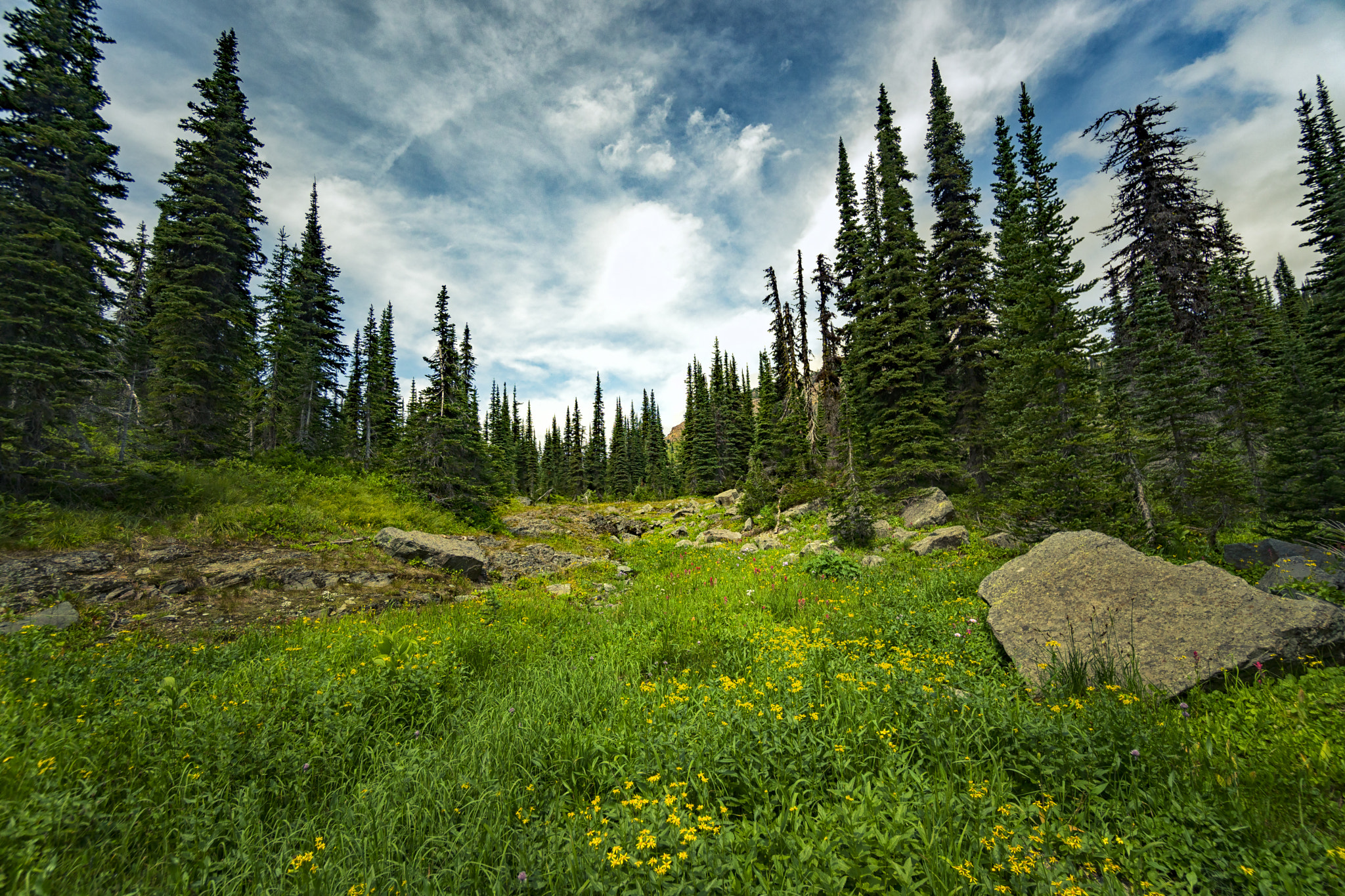 Sony a6300 + Sony E 10-18mm F4 OSS sample photo. High meadows photography