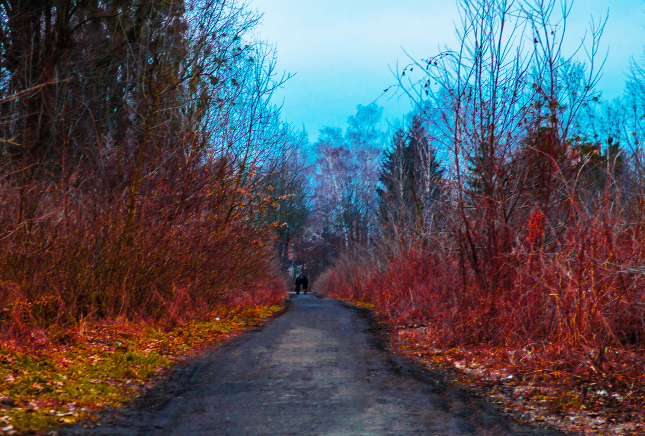 Nikon D3200 sample photo. Forever together photography