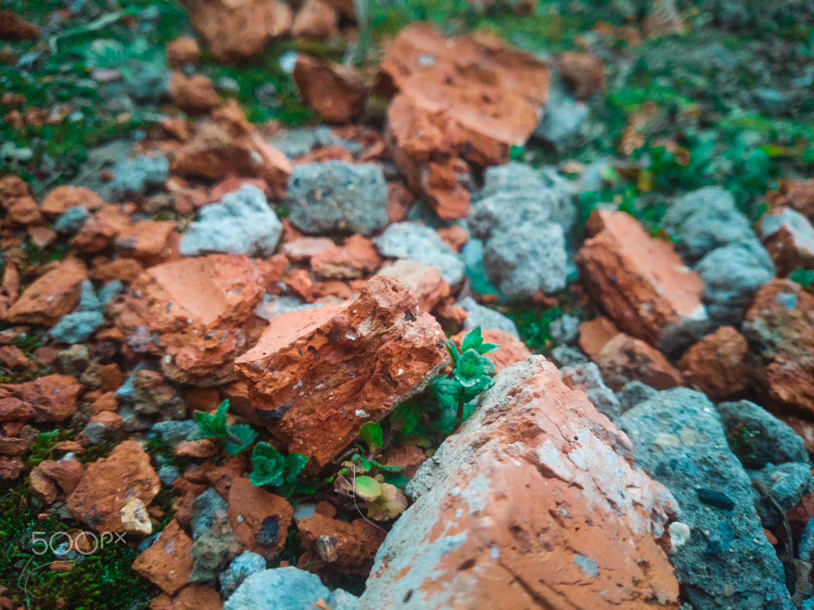 Sony Xperia Z1 Compact sample photo. Stone photography