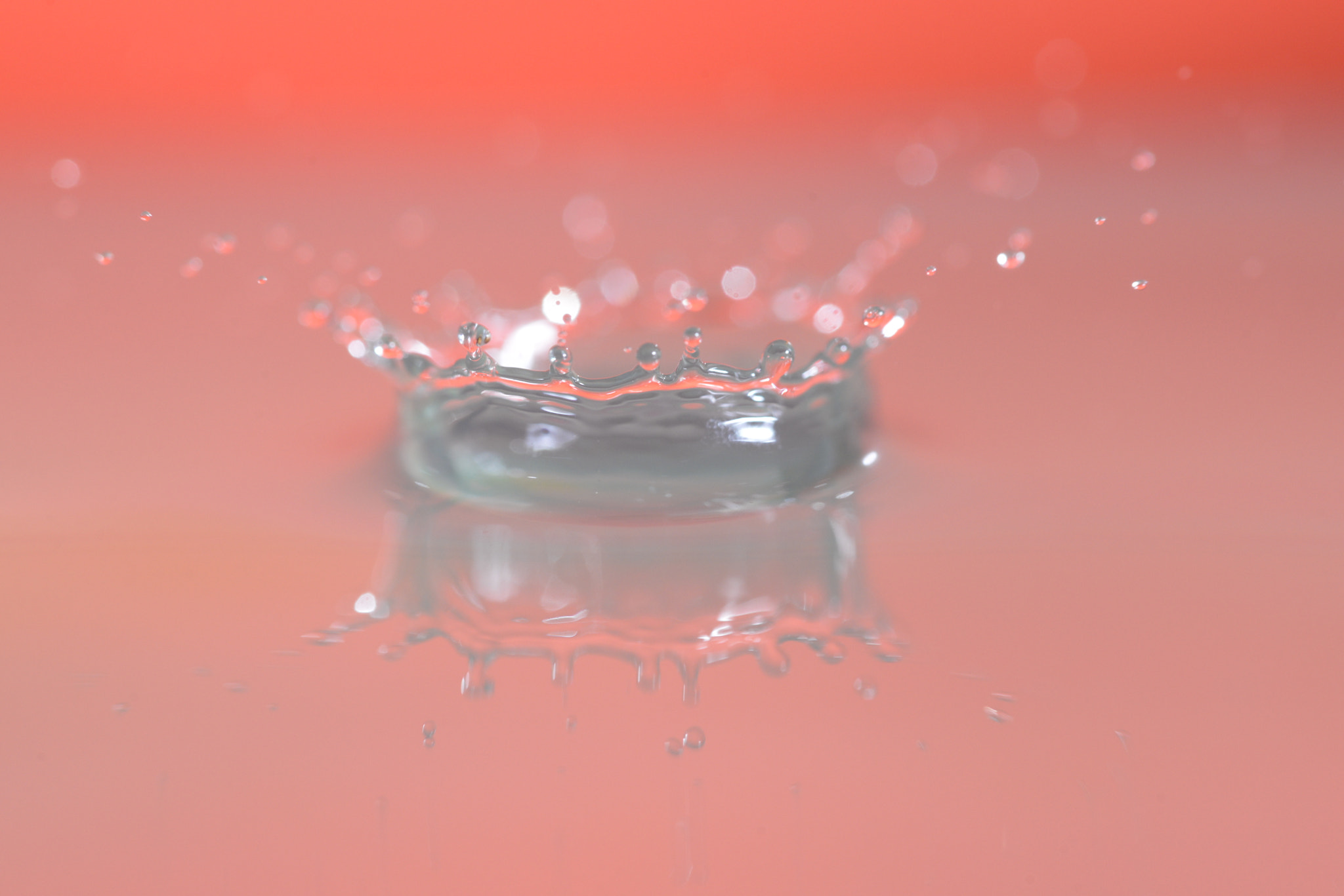 Sigma 105mm F2.8 EX DG OS HSM sample photo. Water drops 2 photography