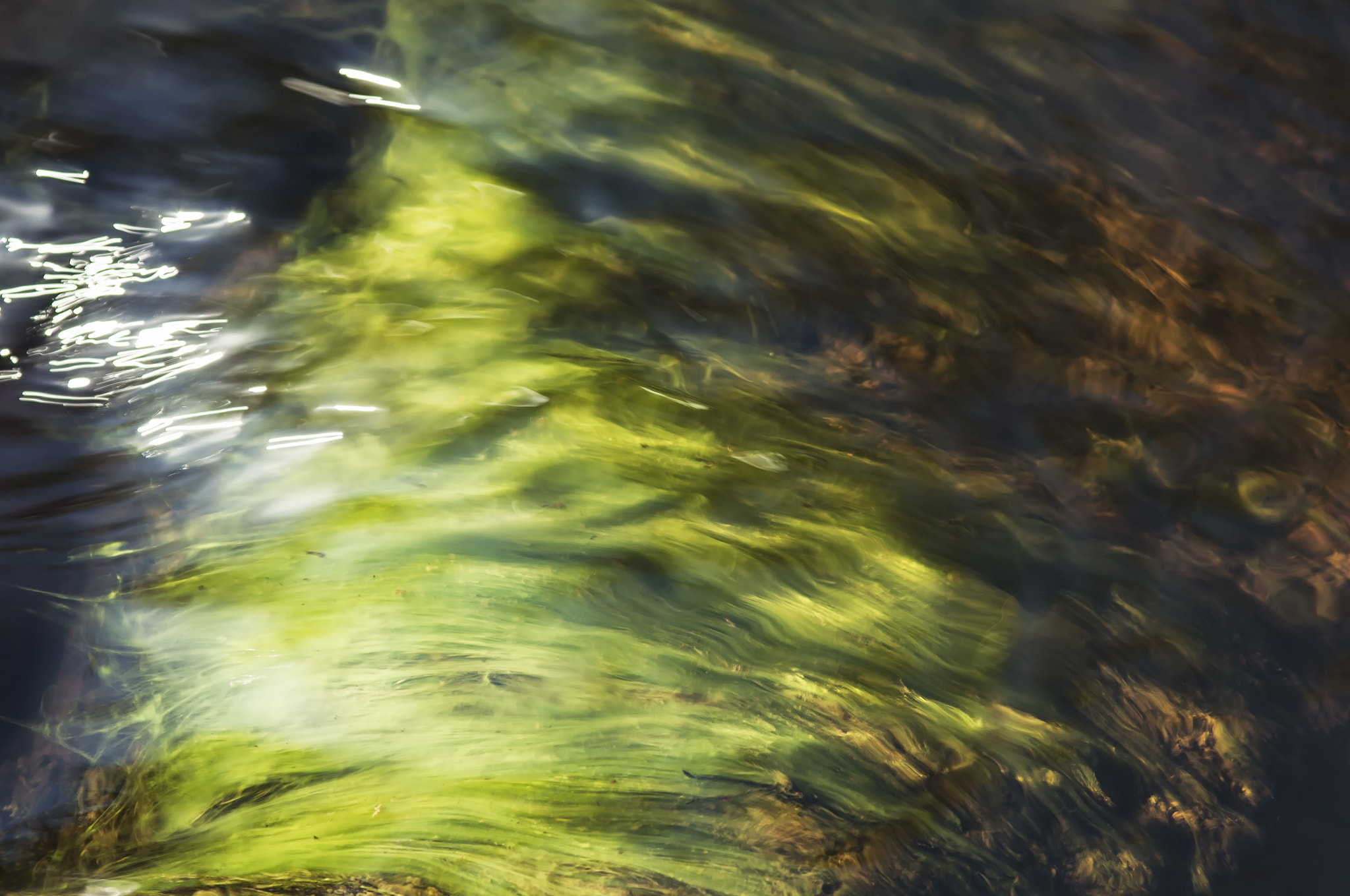 Canon EF 300mm F4L IS USM sample photo. Jkl photography