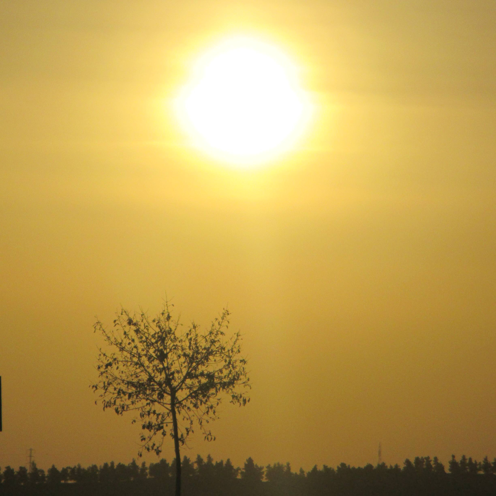 Canon PowerShot ELPH 130 IS (IXUS 140 / IXY 110F) sample photo. Sunset above a lone tree photography