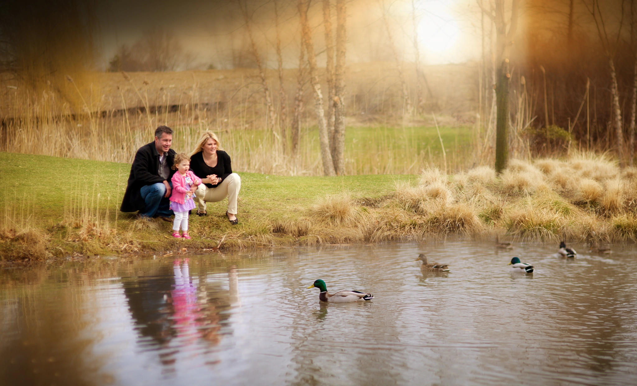 Nikon D700 + Sigma 85mm F1.4 EX DG HSM sample photo. Feeding the ducks! photography