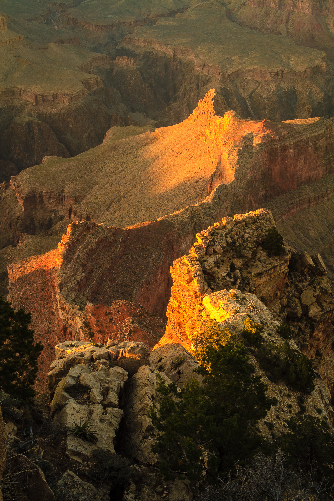 Canon EF-S 17-85mm F4-5.6 IS USM sample photo. Grand canyon late light photography