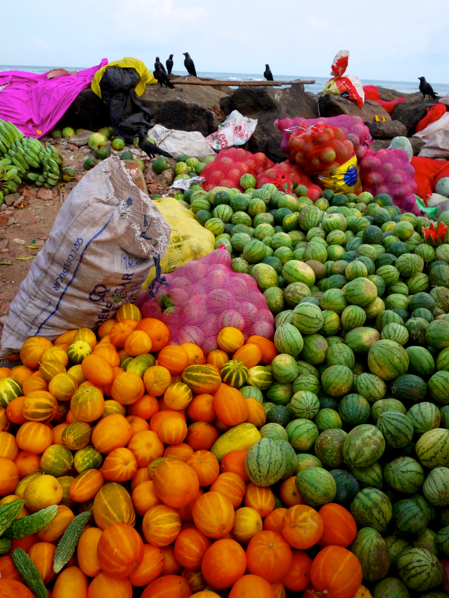 Panasonic Lumix G 14mm F2.5 ASPH sample photo. Sri lanka photography