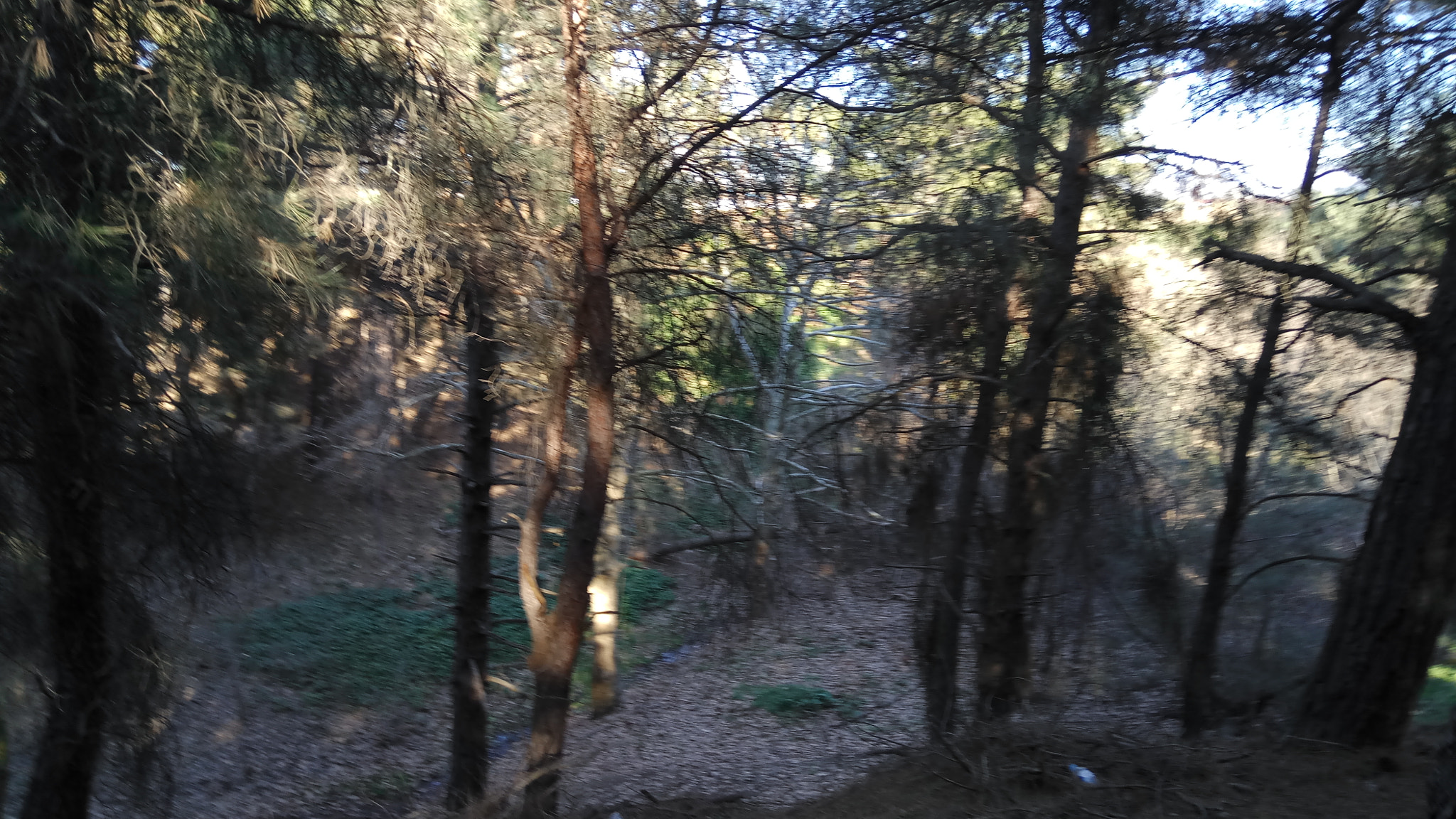 Xiaomi Redmi Pro sample photo. Forest escape 2 photography