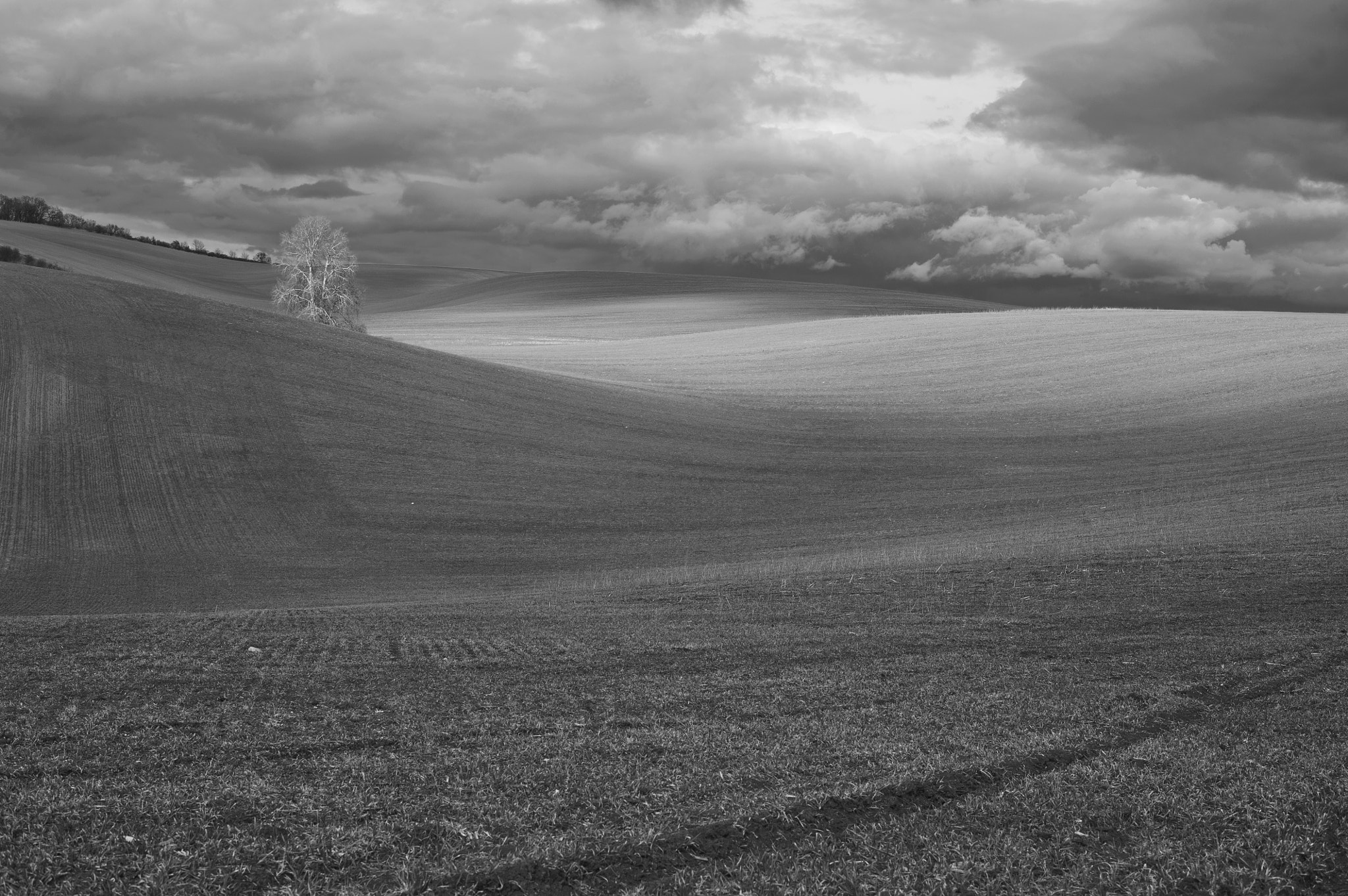 Nikon D700 + Nikon AF-S Nikkor 50mm F1.8G sample photo. South moravian fields photography