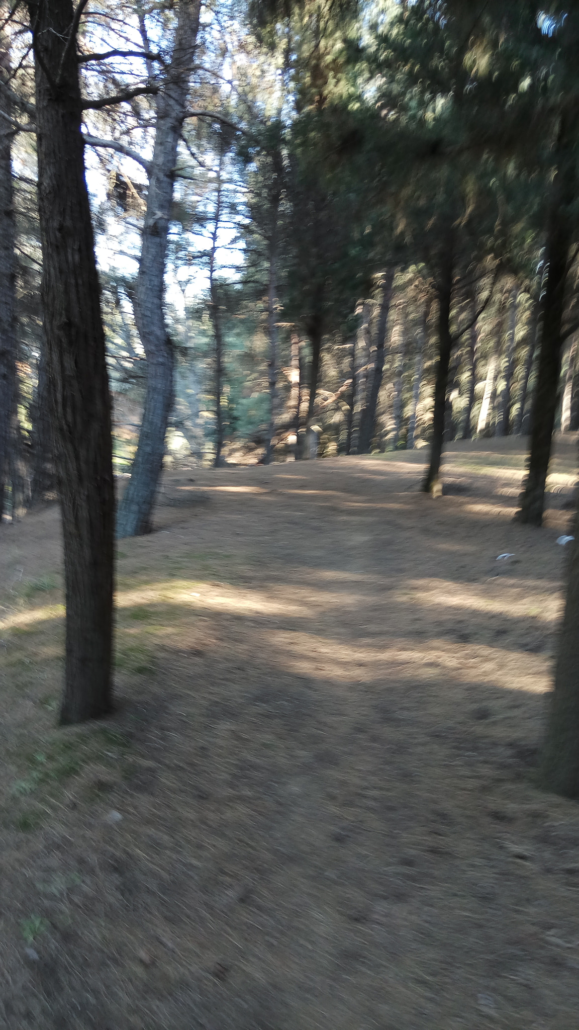 Xiaomi Redmi Pro sample photo. Forest escape 2 photography