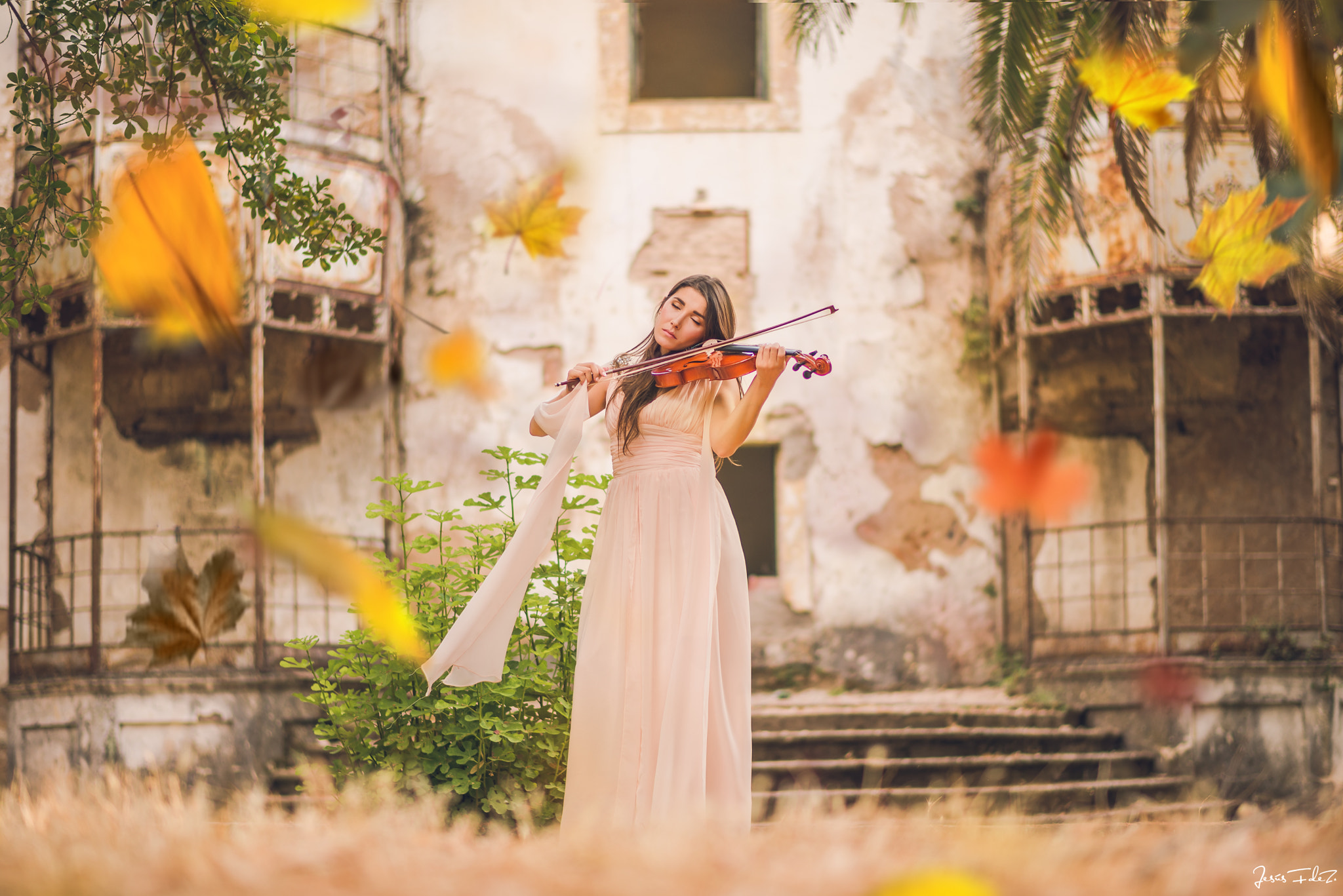 Nikon D610 sample photo. La dama del violin photography