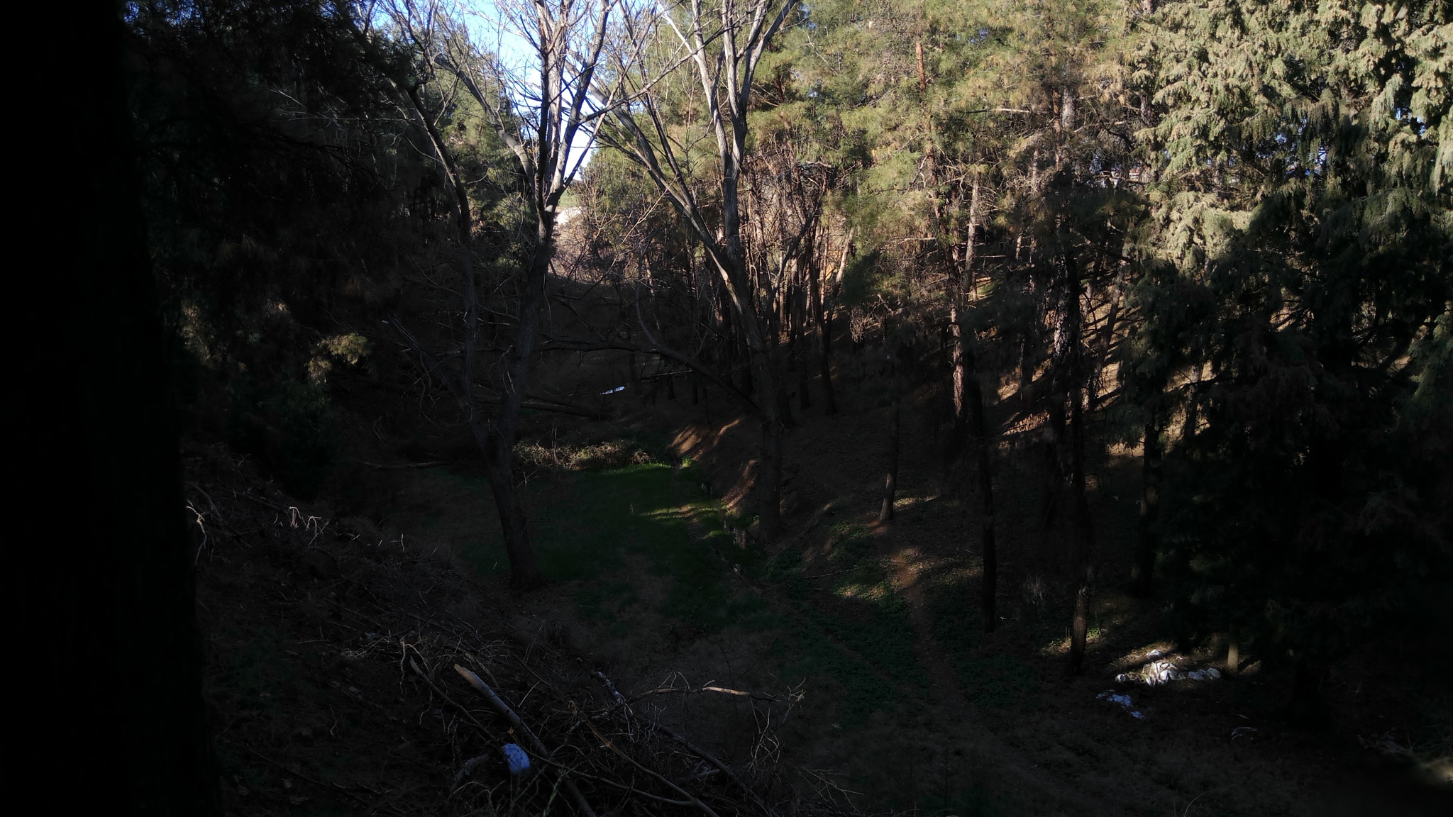 Xiaomi Redmi Pro sample photo. Forest escape 2 photography