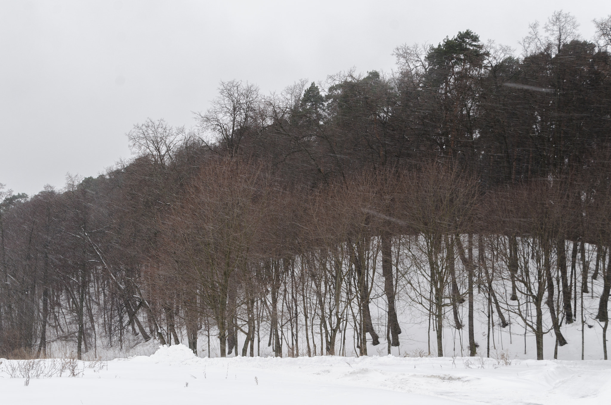 Nikon D7000 + Tamron 18-270mm F3.5-6.3 Di II VC PZD sample photo. Snow 01 photography