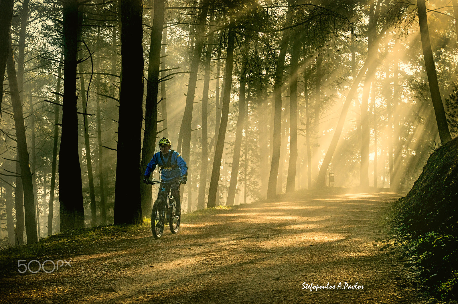 Nikon D3200 + Sigma 28-105mm F2.8-4 Aspherical sample photo. Morning bike ride in the forest photography