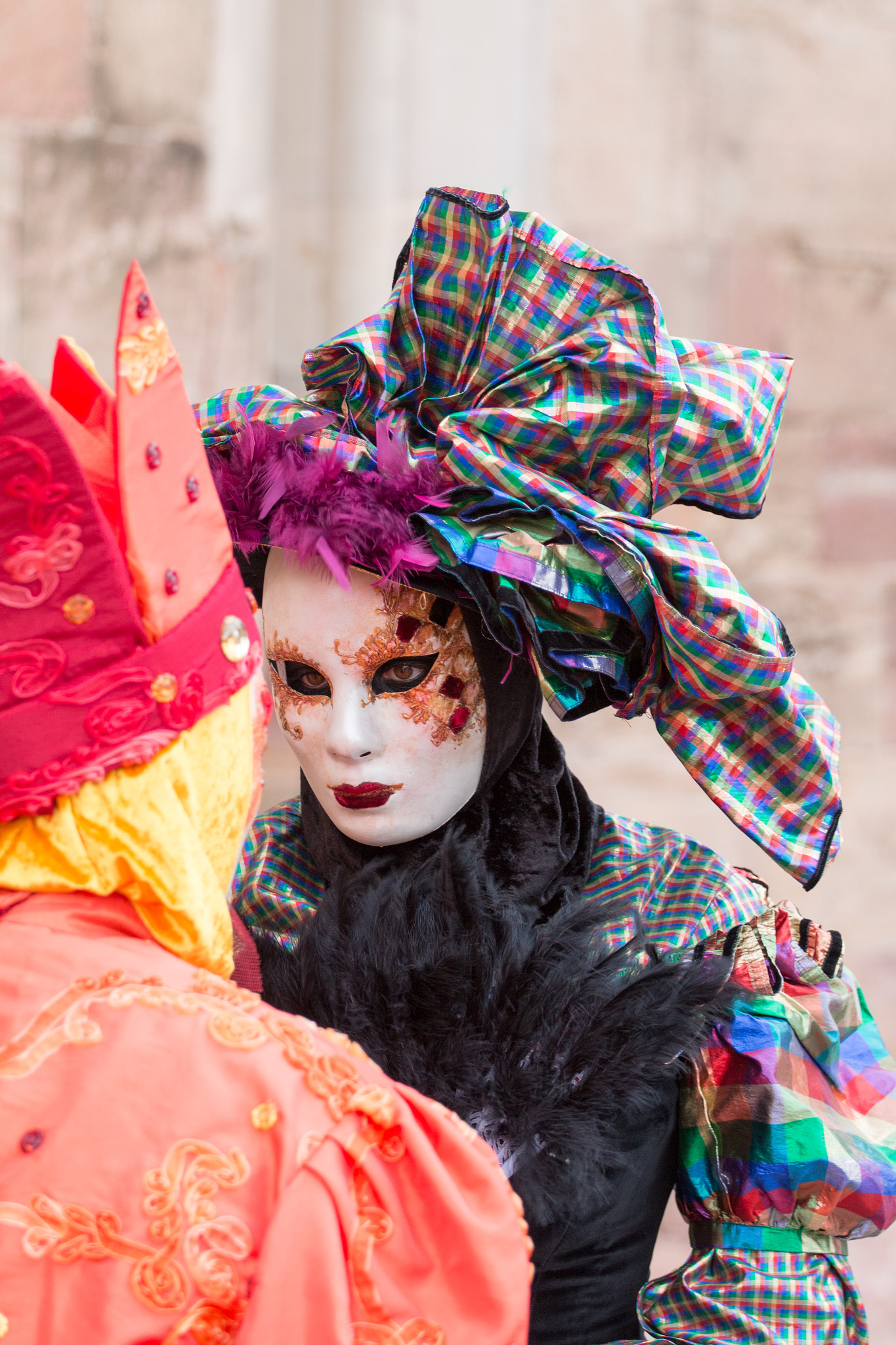 Canon EOS 70D + Canon EF 70-200mm F4L USM sample photo. Carnaval de venise photography