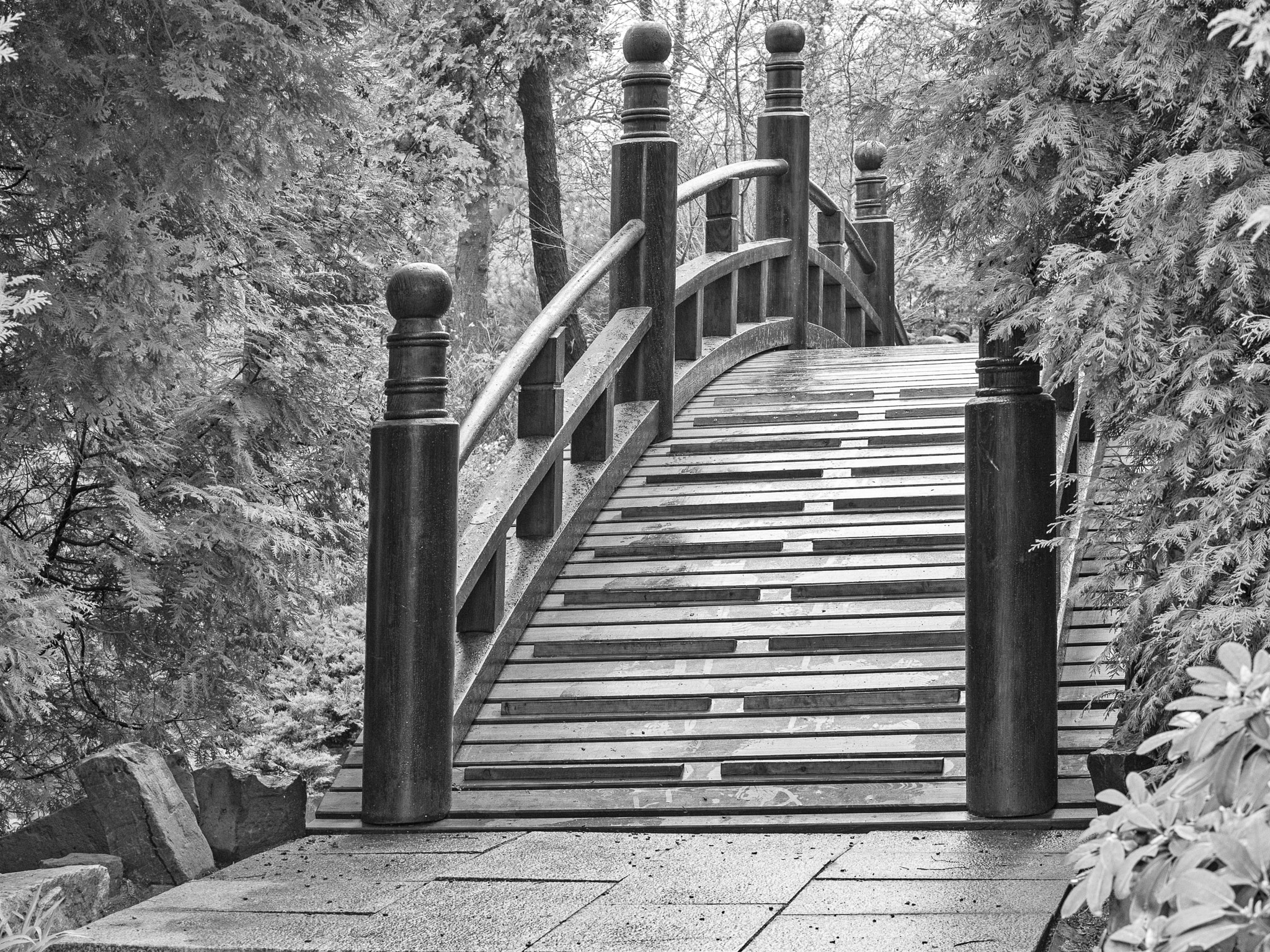 Panasonic Leica DG Nocticron 42.5mm F1.2 ASPH OIS sample photo. The japanese bridge photography