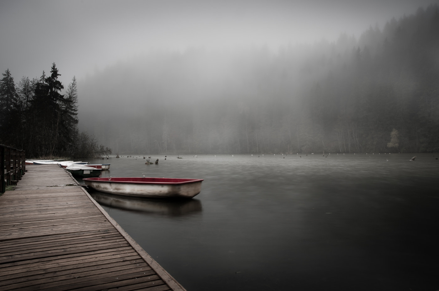 Pentax K-5 sample photo. -misty awakening- photography