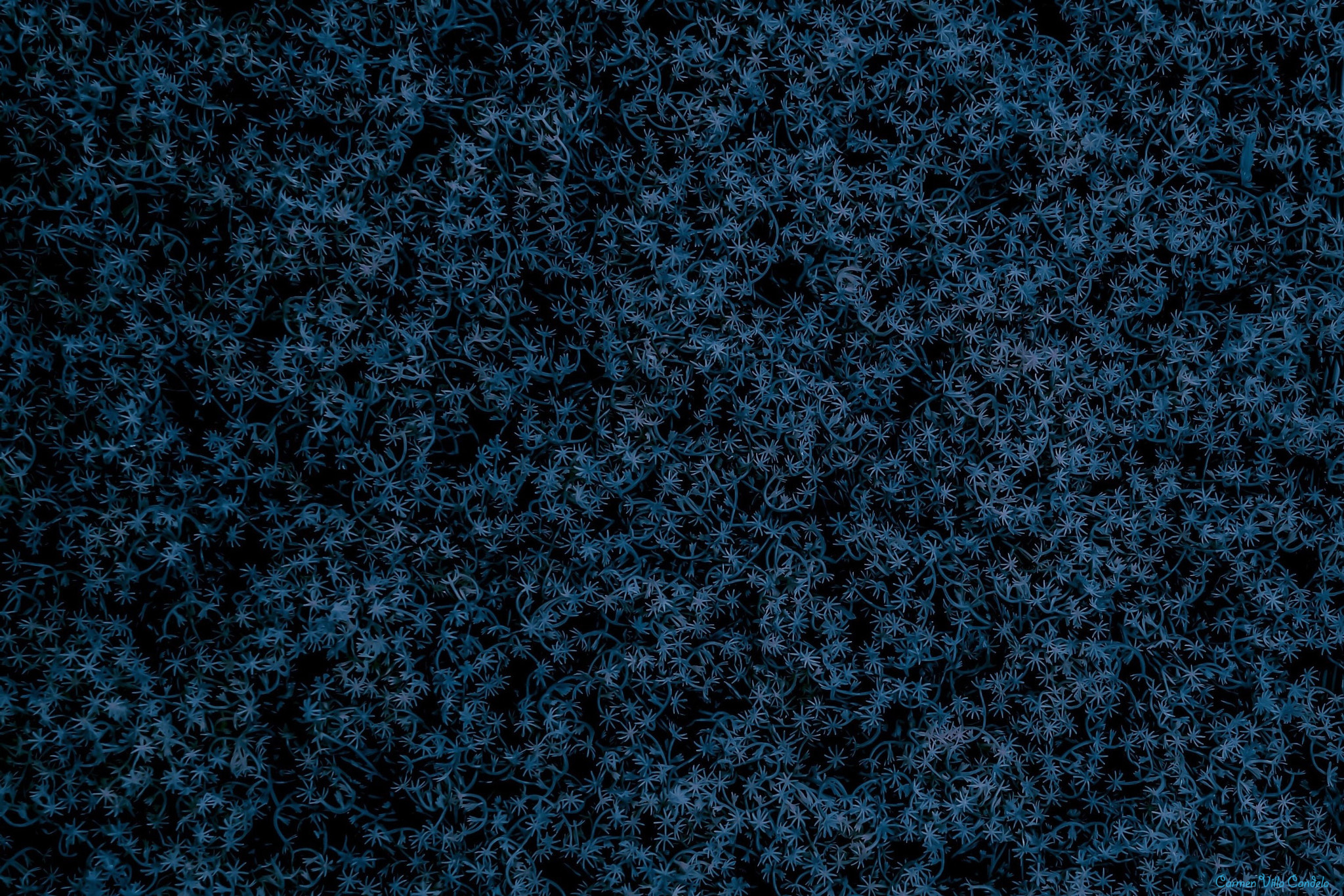 Samsung NX500 + Samsung NX 16-50mm F3.5-5.6 Power Zoom ED OIS sample photo. Stellar abstract photography