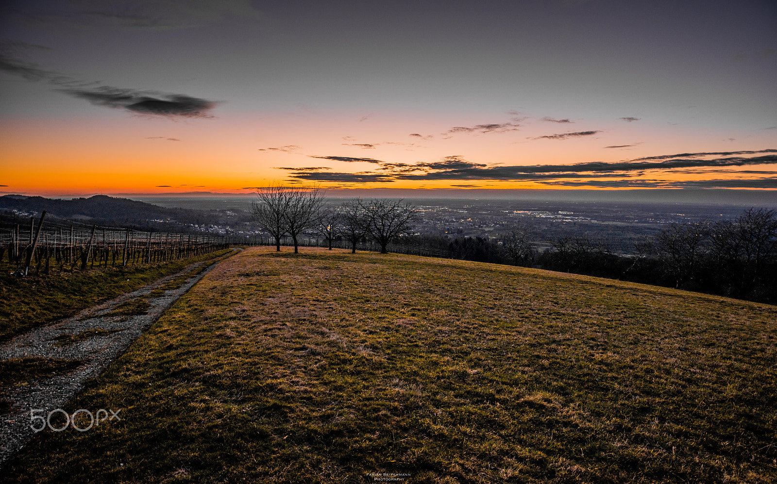 Sony a7R sample photo. Spring sunset photography
