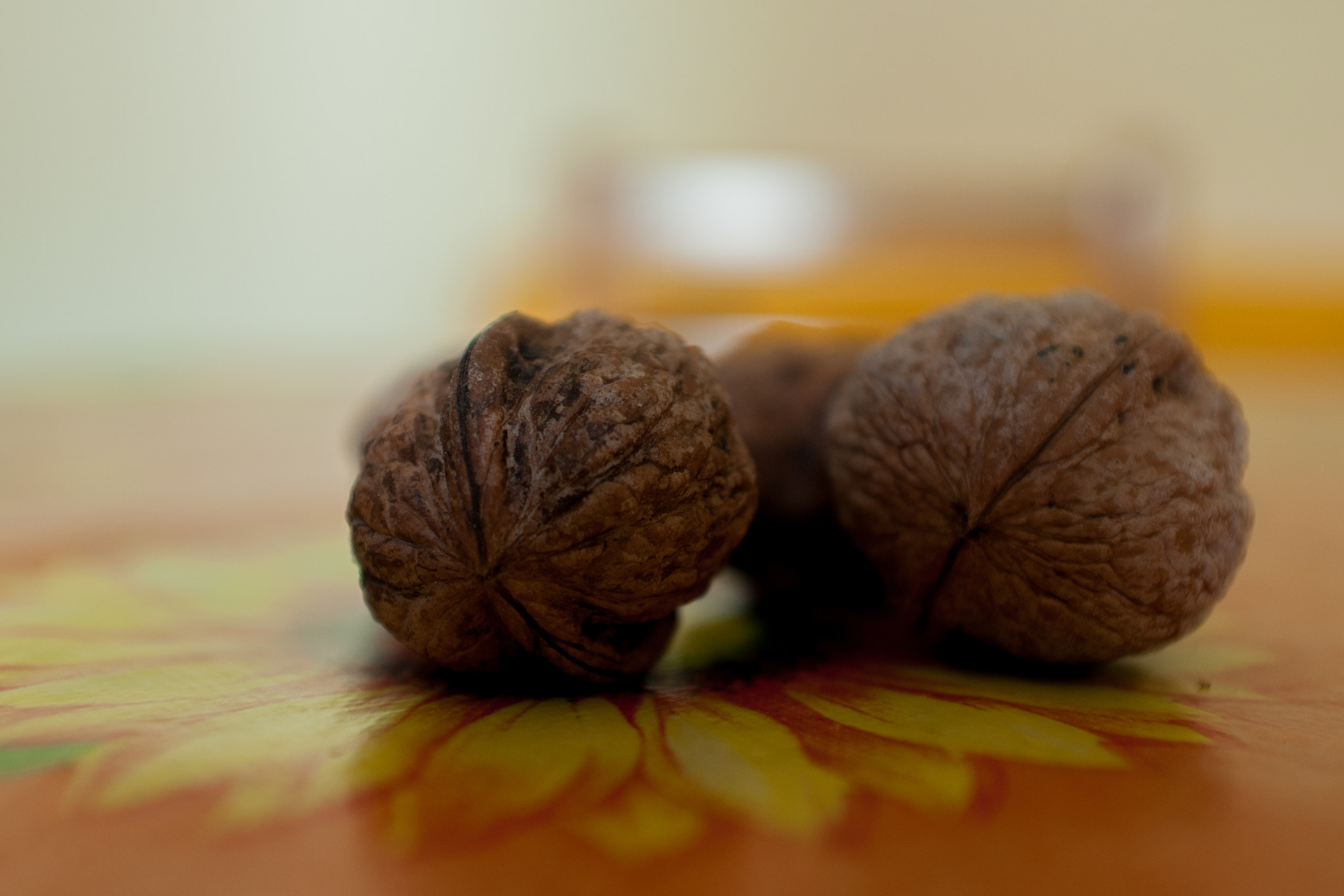 Sony Alpha DSLR-A700 sample photo. Just walnuts. photography