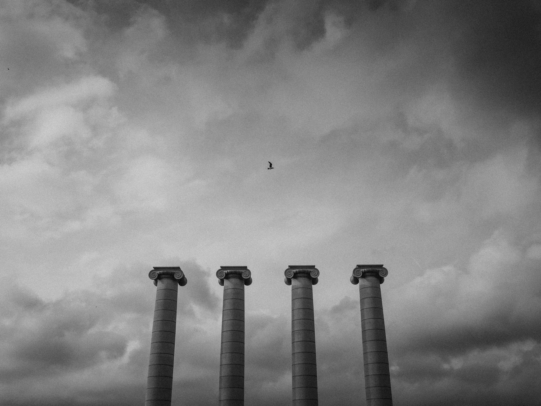 Olympus PEN-F sample photo. A bird flying through museu nacional d'art de catalunya photography