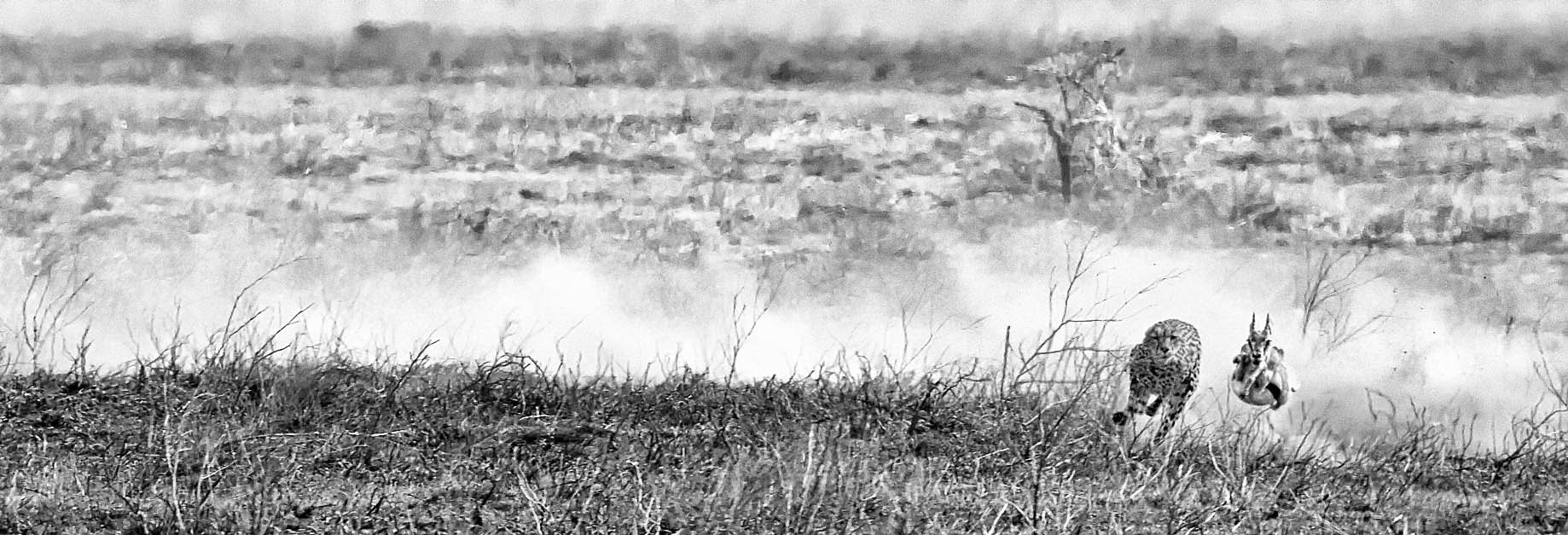 Canon EF 200-400mm F4L IS USM Extender 1.4x sample photo. Ndutu migration 2016 photography