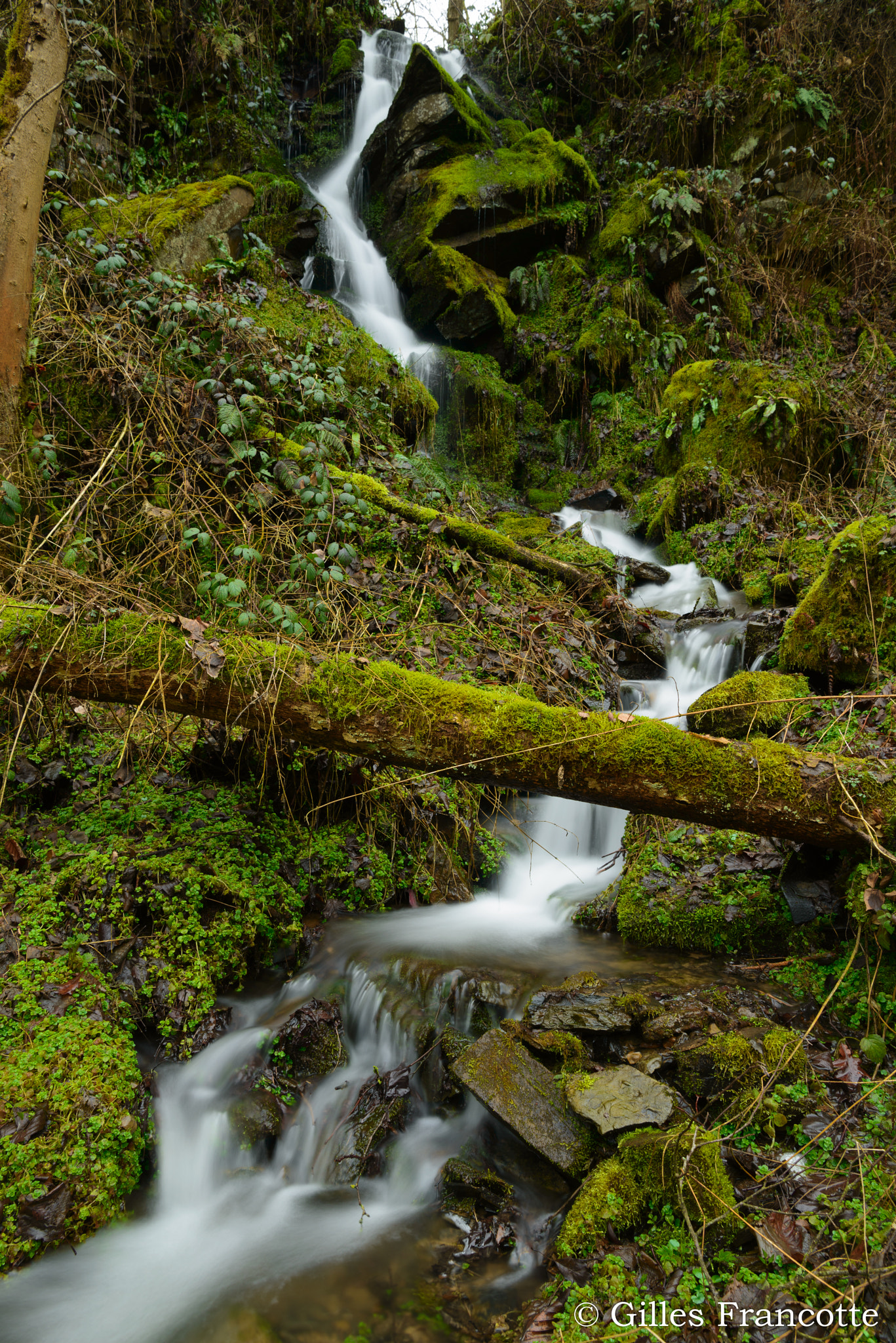 Nikon D800 sample photo. Waterfall photography