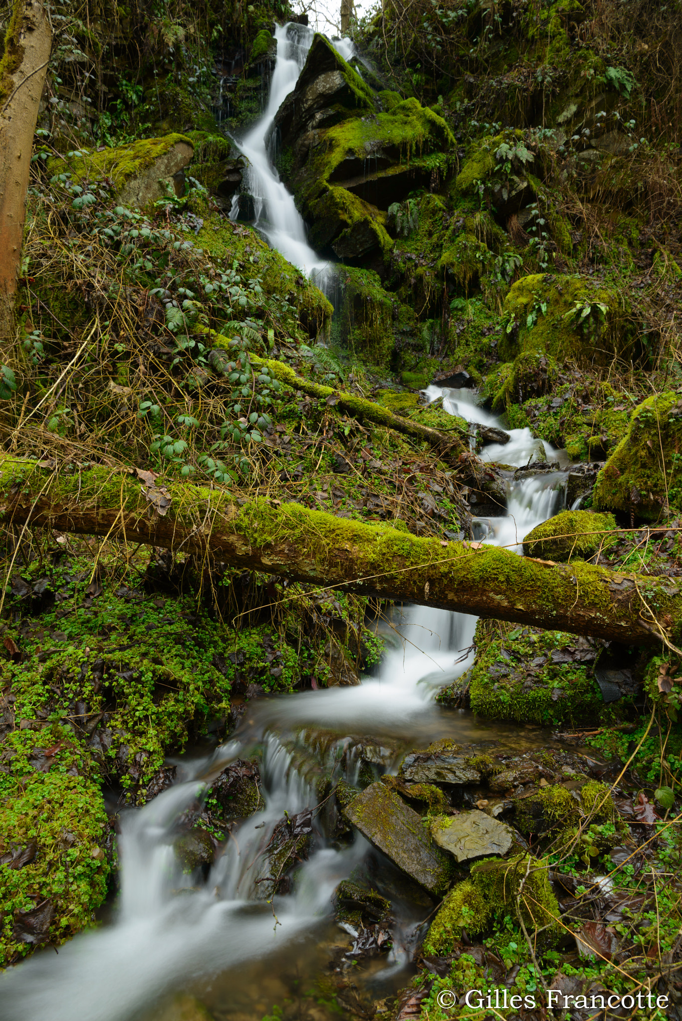 Nikon AF-S Nikkor 24-70mm F2.8E ED VR sample photo. Waterfall photography