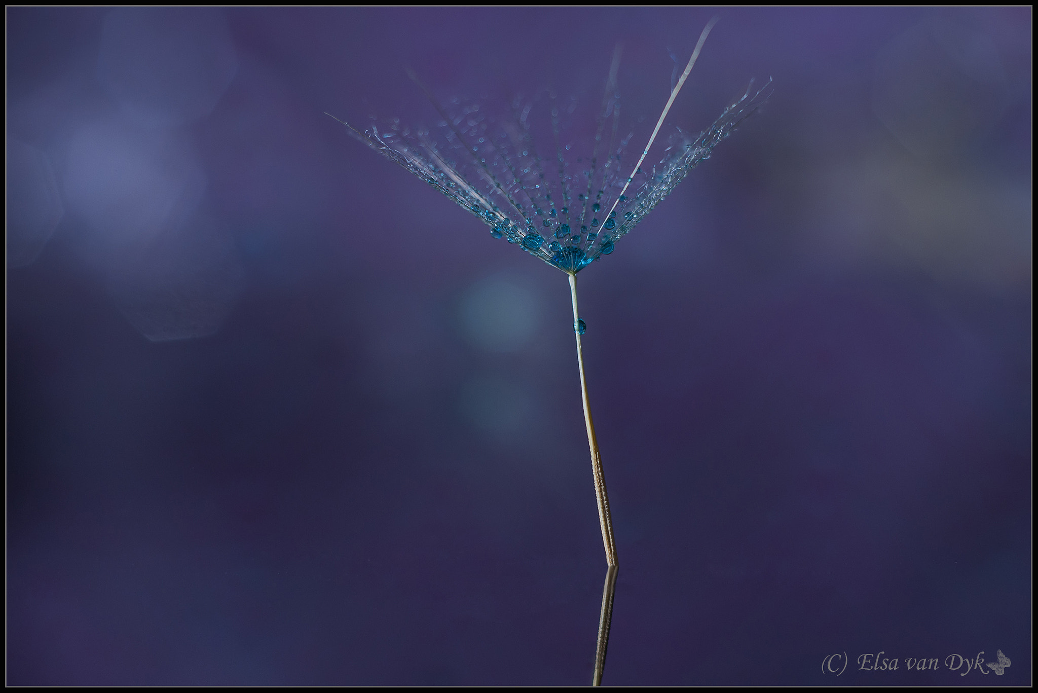 Nikon D300 + Nikon AF Nikkor 50mm F1.8D sample photo. Minimalism in blue photography