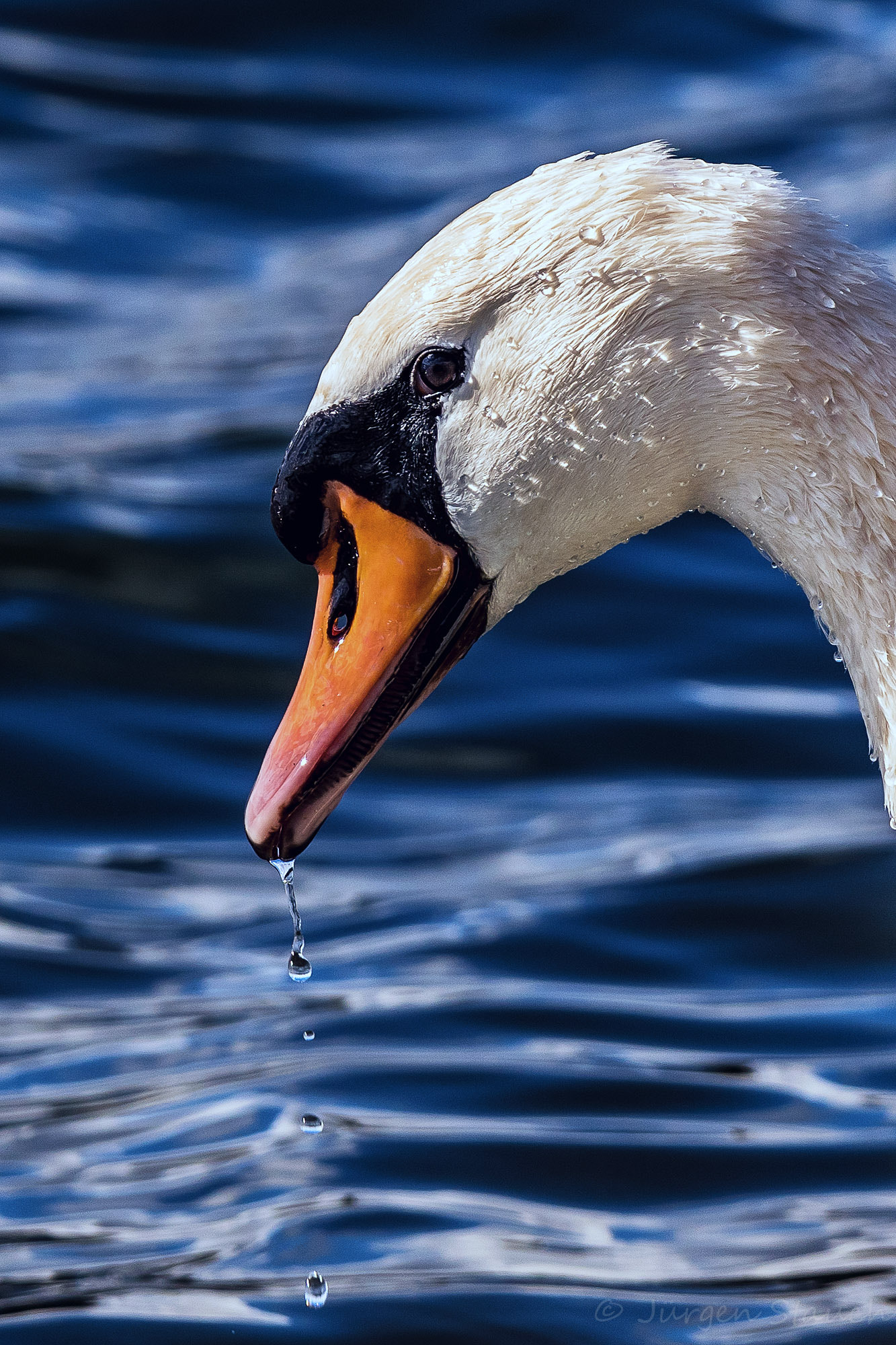 v2?sig=89986f393121f58960bd1e87b596516e2d1acf91b51910c34ffa78455a08dfde