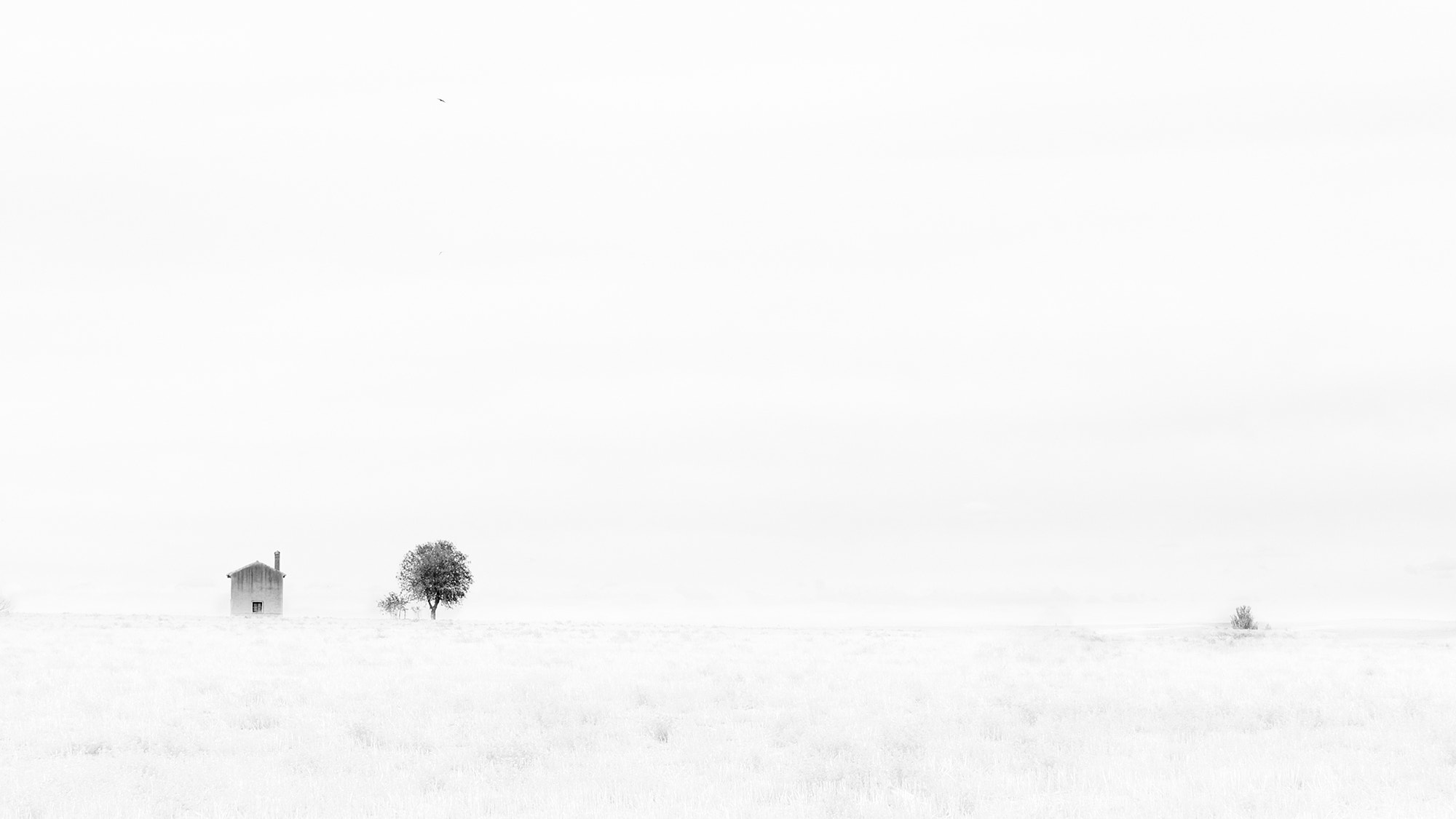 Sigma 18-200mm f/3.5-6.3 DC OS sample photo. Paisaje en blanco 1 photography
