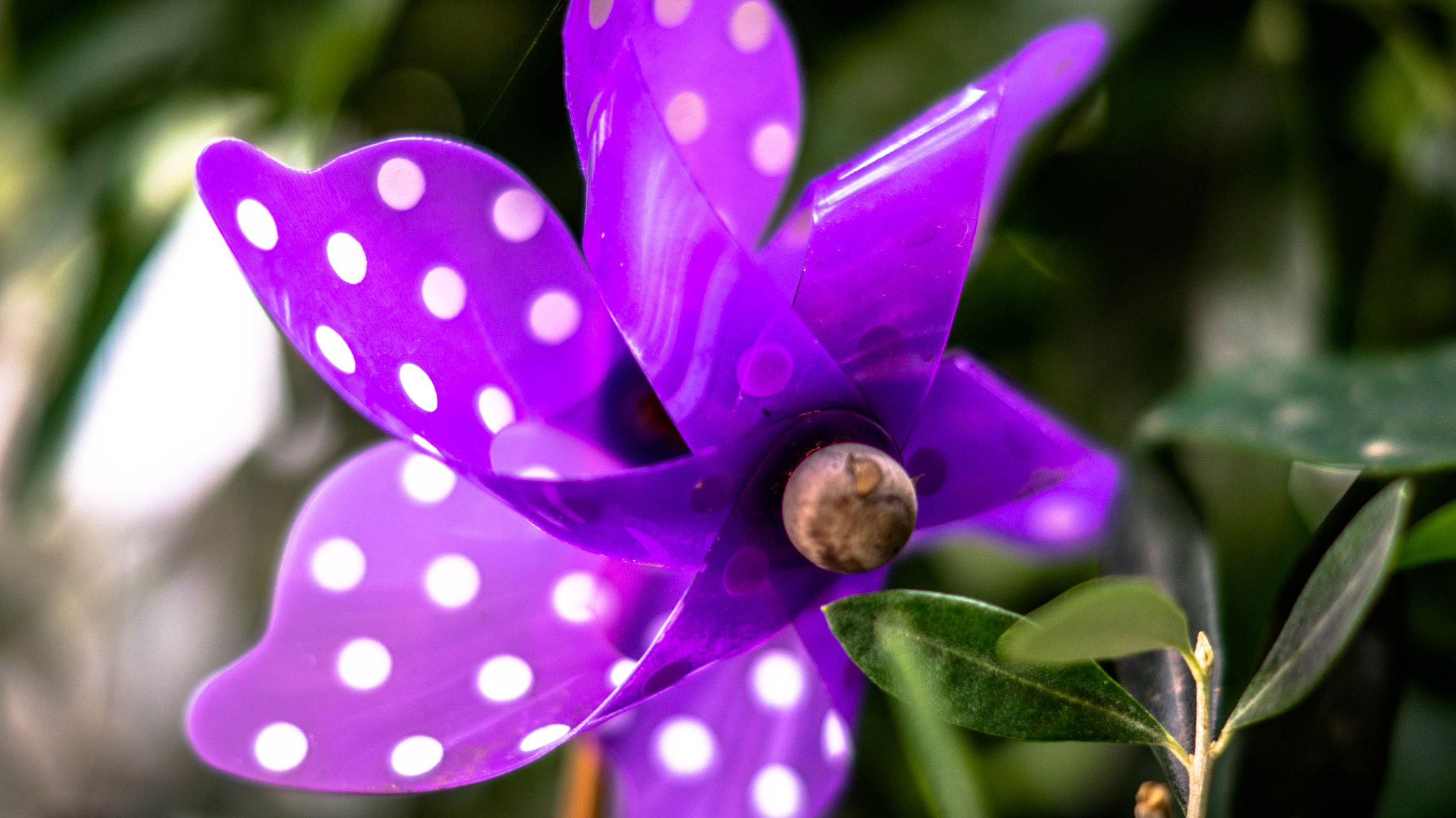 Sony SLT-A58 + Sony DT 50mm F1.8 SAM sample photo. Windmill photography