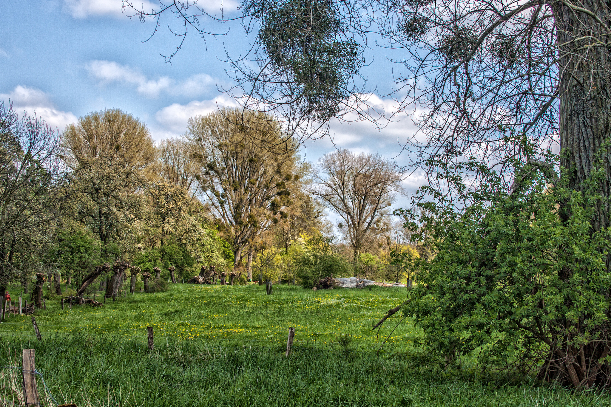 Canon EF-S 18-55mm F3.5-5.6 II sample photo. Urdenbacher kämpe photography